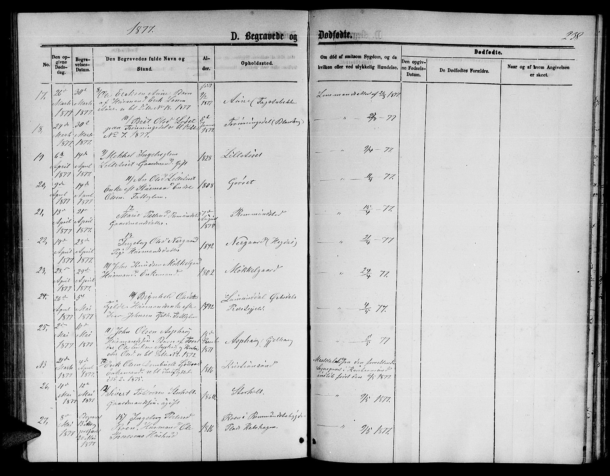 Ministerialprotokoller, klokkerbøker og fødselsregistre - Møre og Romsdal, AV/SAT-A-1454/598/L1076: Parish register (copy) no. 598C01, 1867-1878, p. 238