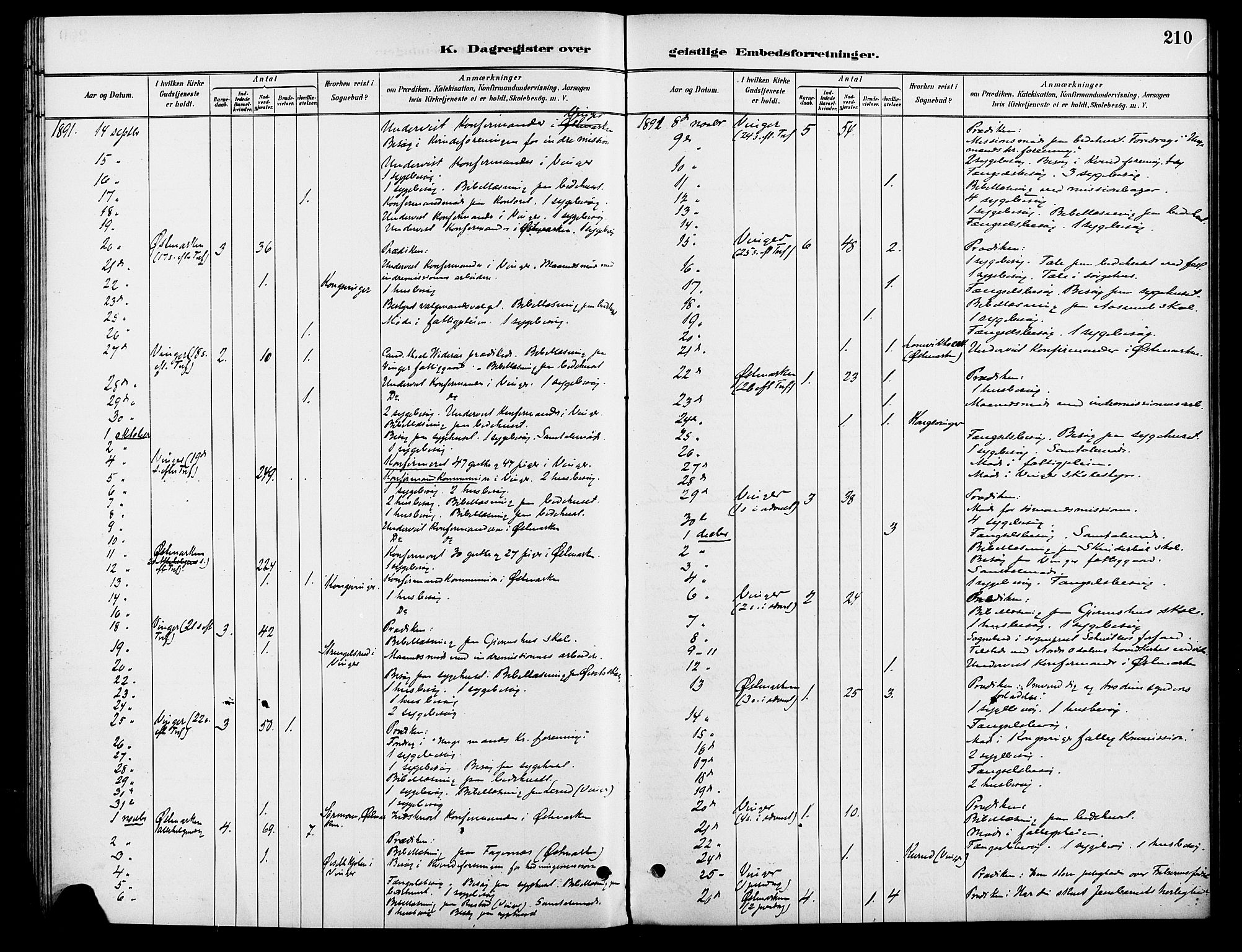 Vinger prestekontor, AV/SAH-PREST-024/H/Ha/Haa/L0013: Parish register (official) no. 13, 1881-1897, p. 210