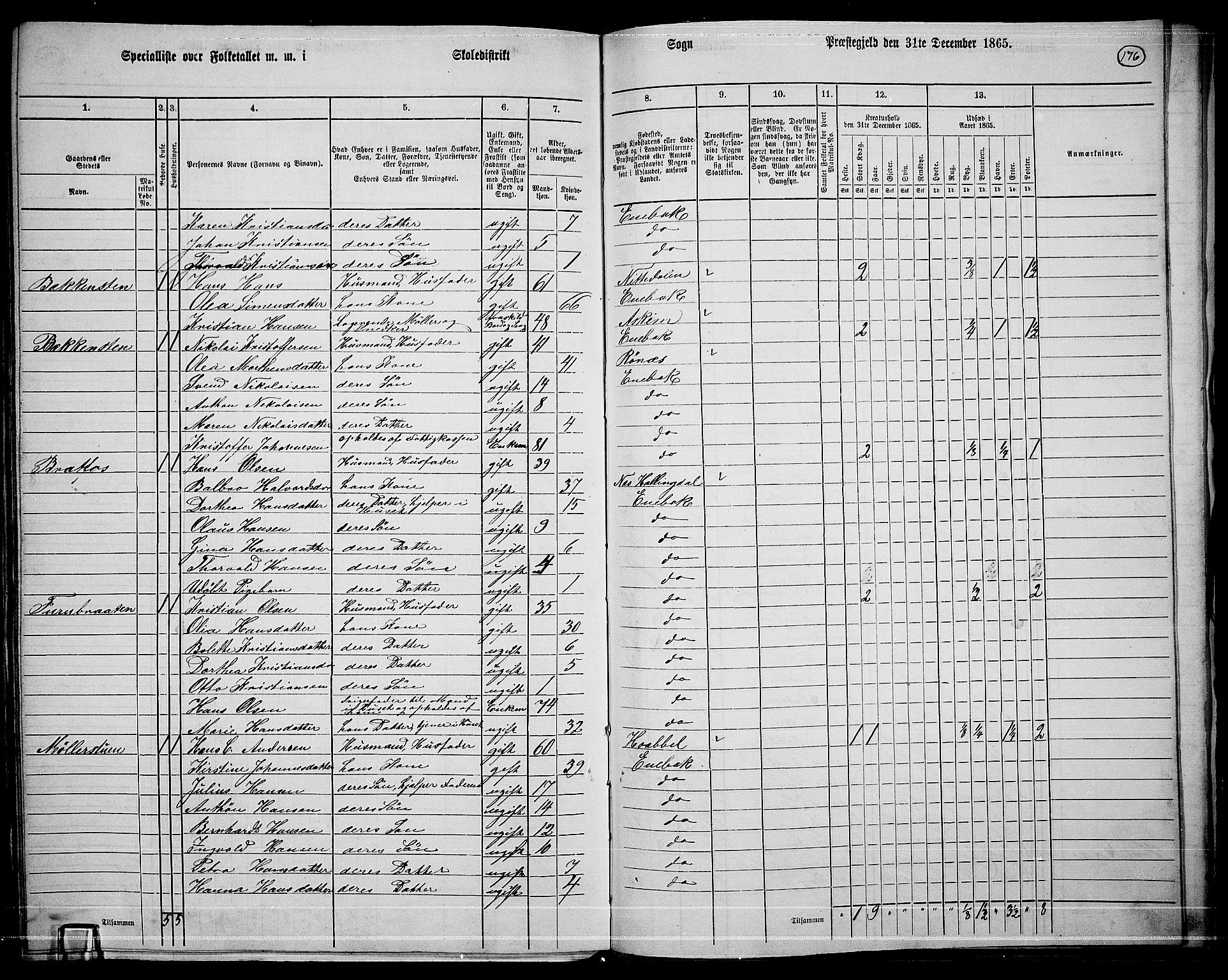 RA, 1865 census for Enebakk, 1865, p. 153