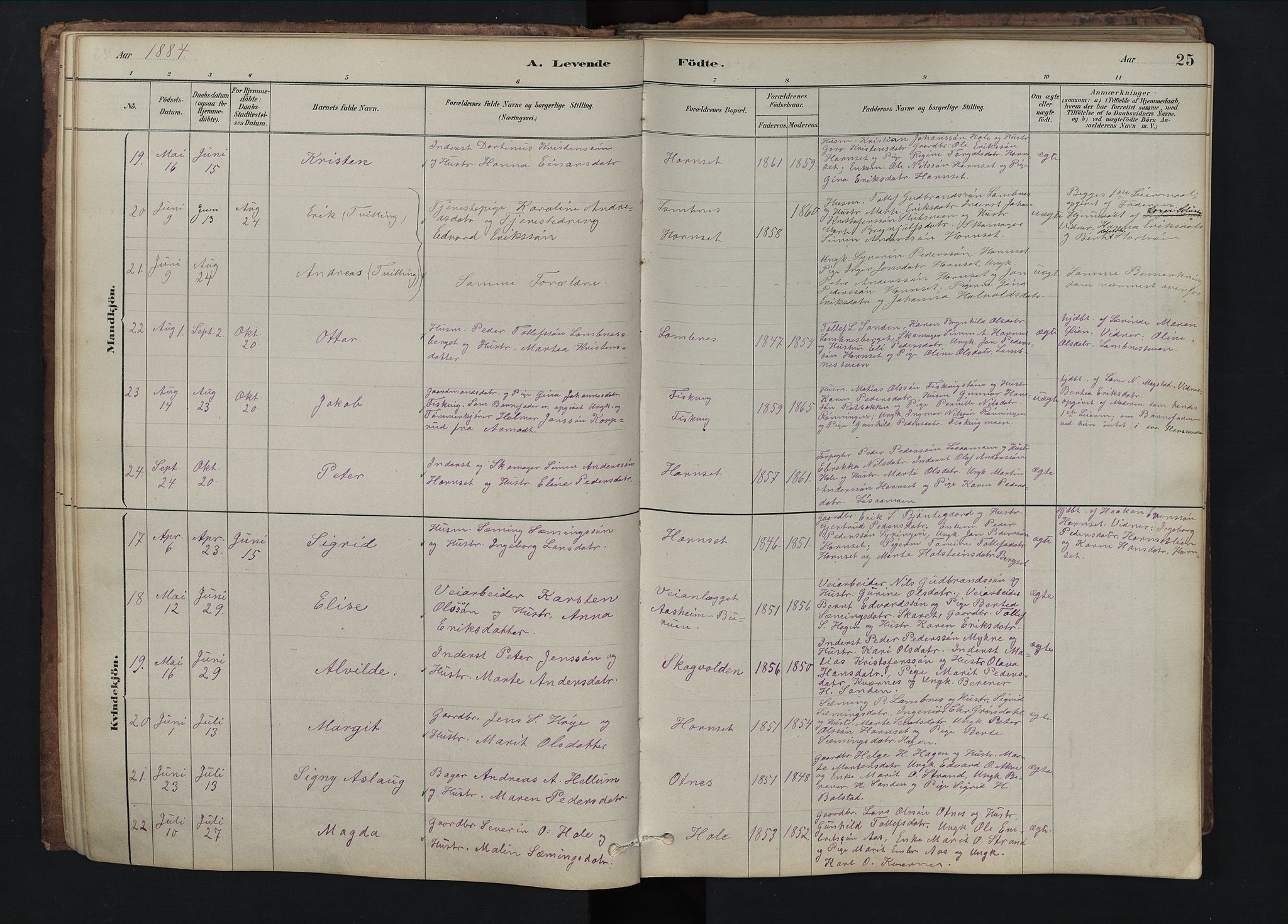Rendalen prestekontor, SAH/PREST-054/H/Ha/Hab/L0009: Parish register (copy) no. 9, 1879-1902, p. 25
