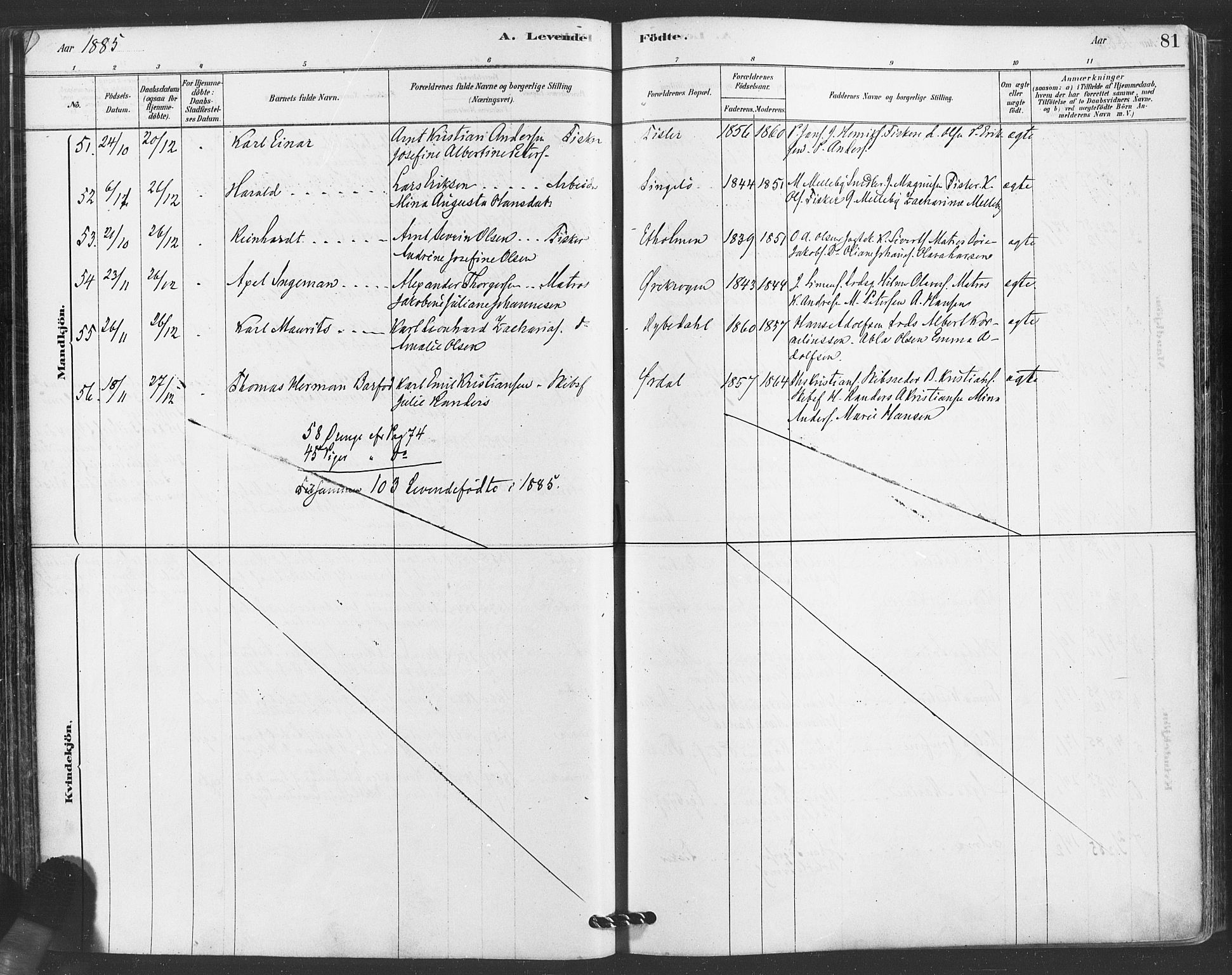 Hvaler prestekontor Kirkebøker, AV/SAO-A-2001/F/Fa/L0008: Parish register (official) no. I 8, 1878-1895, p. 81