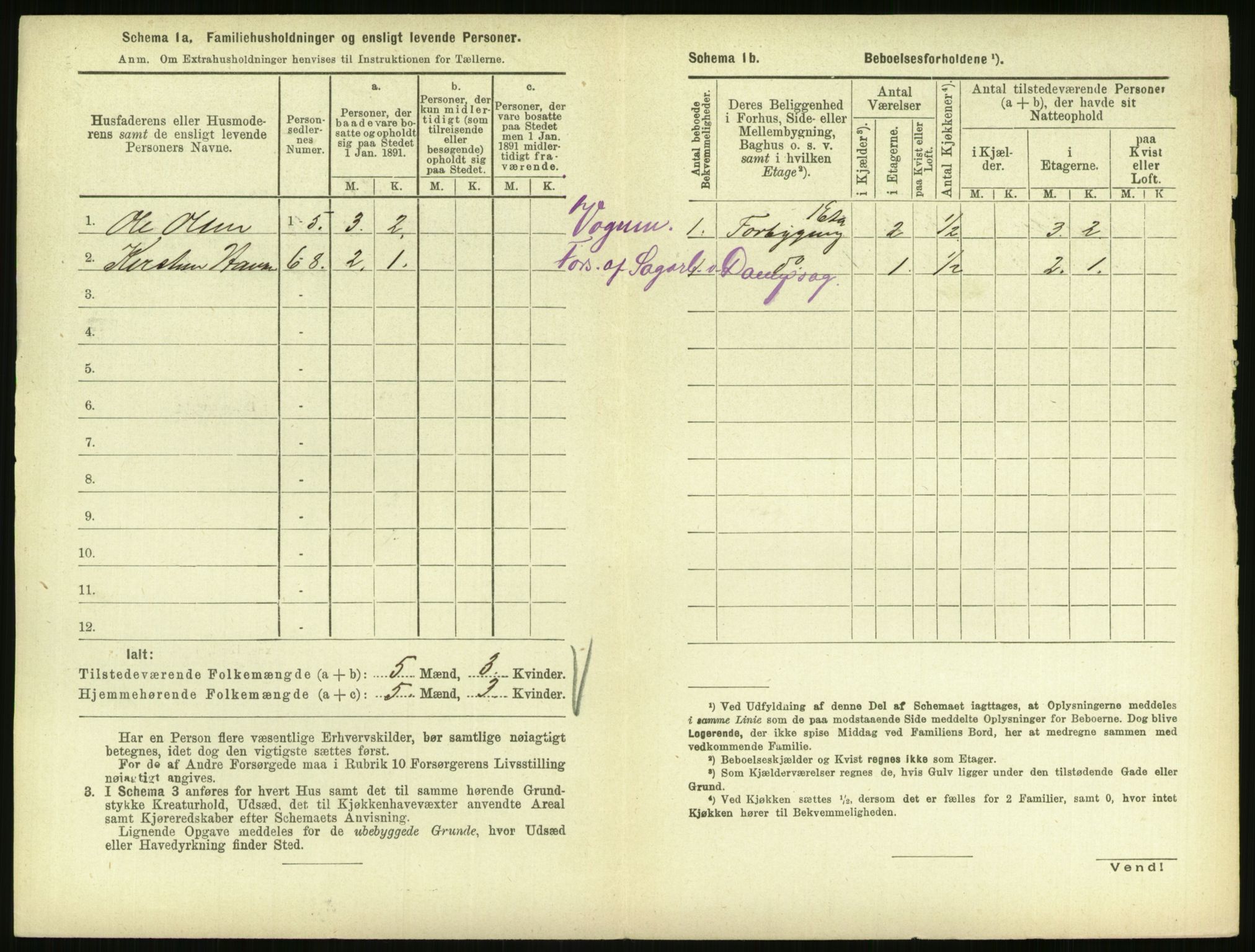 RA, 1891 census for 0707 Larvik, 1891, p. 56