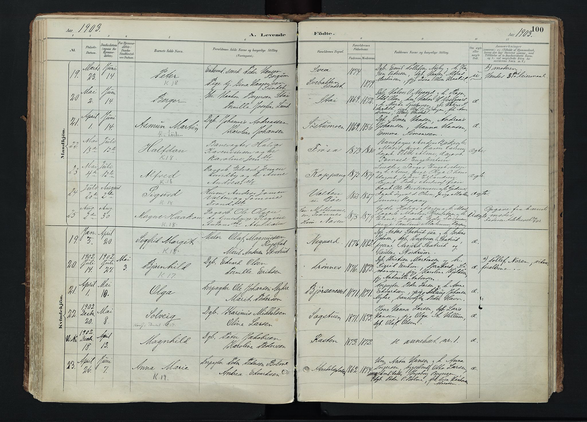 Stor-Elvdal prestekontor, AV/SAH-PREST-052/H/Ha/Haa/L0004: Parish register (official) no. 4, 1890-1922, p. 100