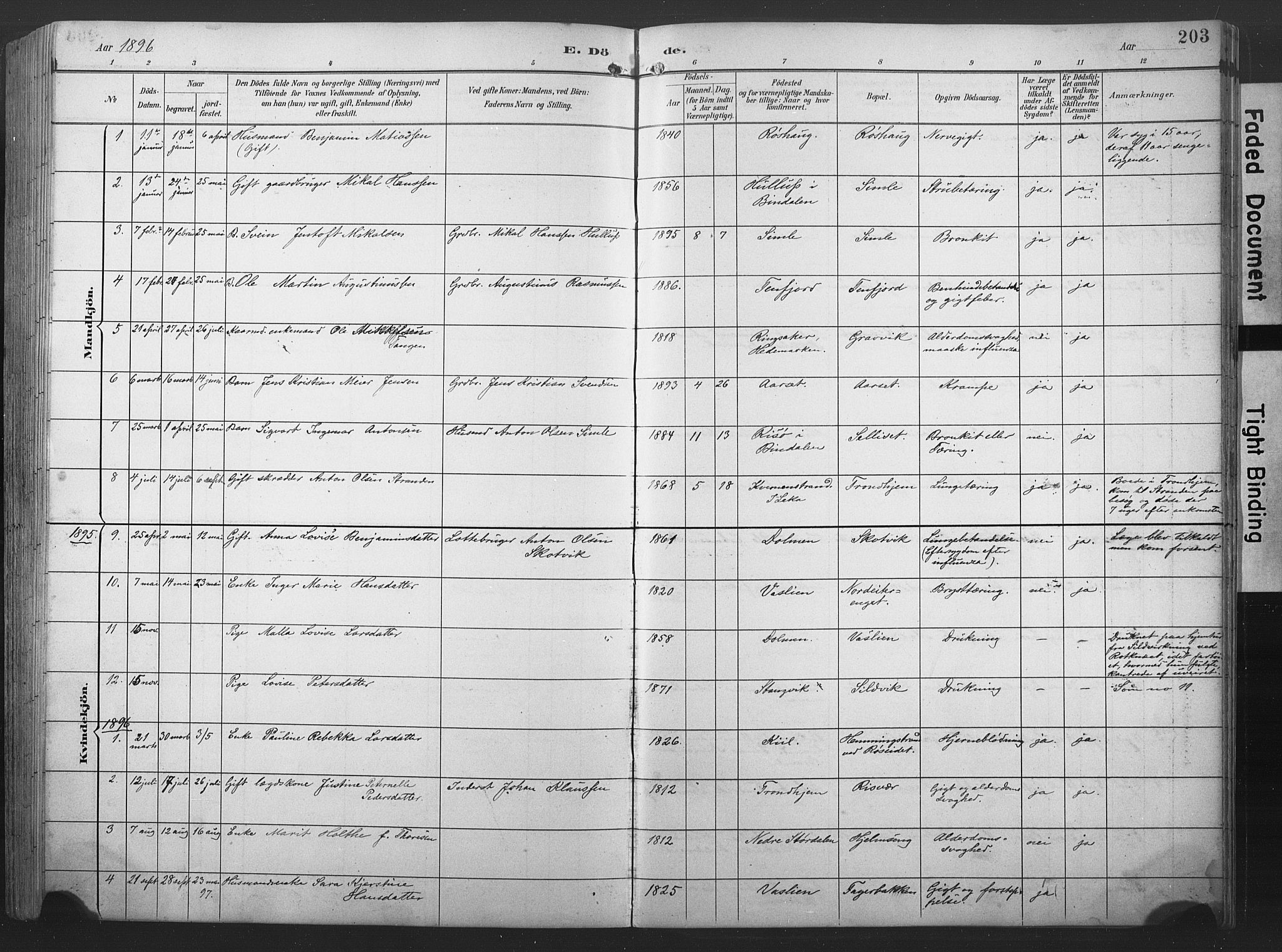 Ministerialprotokoller, klokkerbøker og fødselsregistre - Nord-Trøndelag, SAT/A-1458/789/L0706: Parish register (copy) no. 789C01, 1888-1931, p. 203