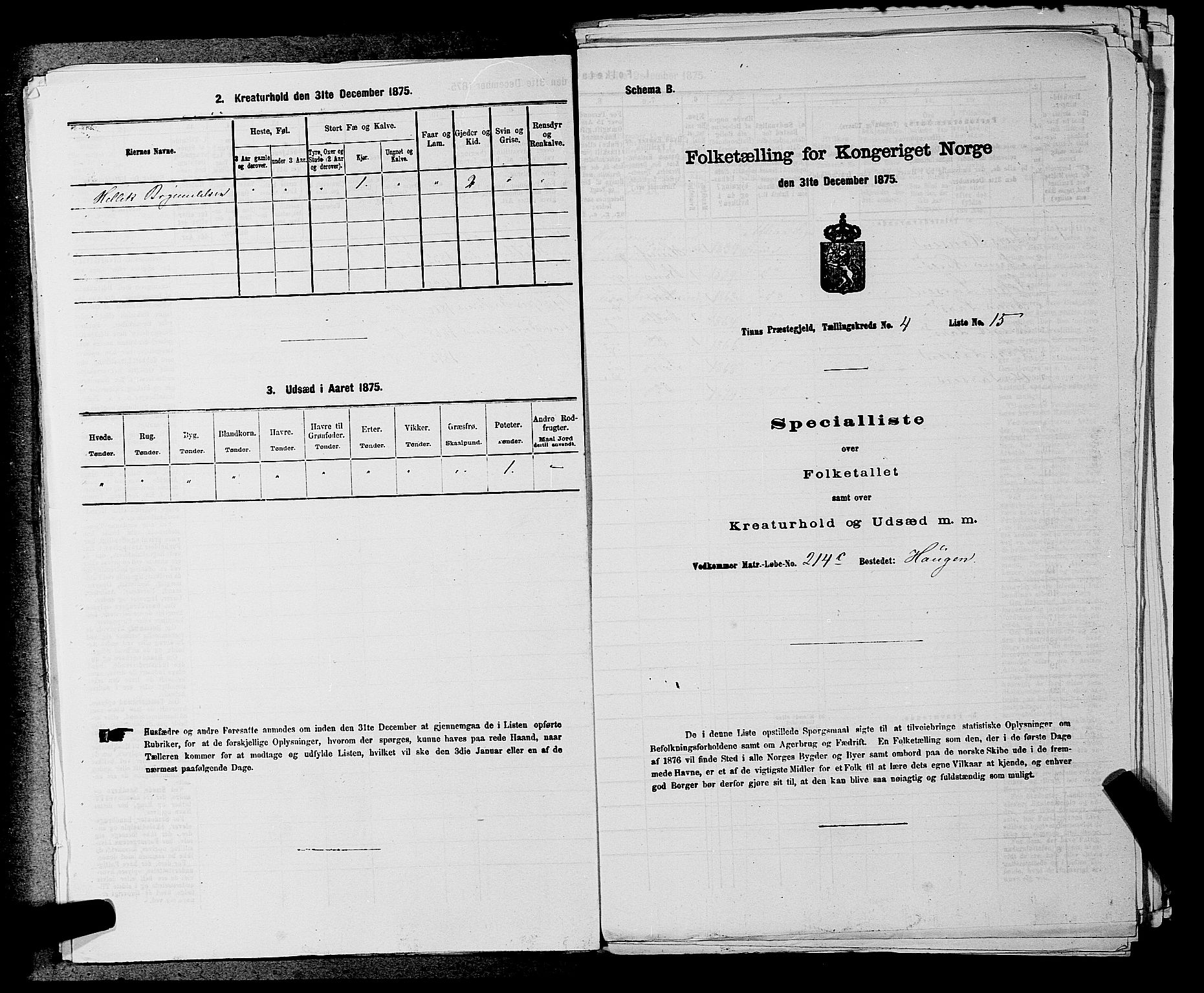 SAKO, 1875 census for 0826P Tinn, 1875, p. 488