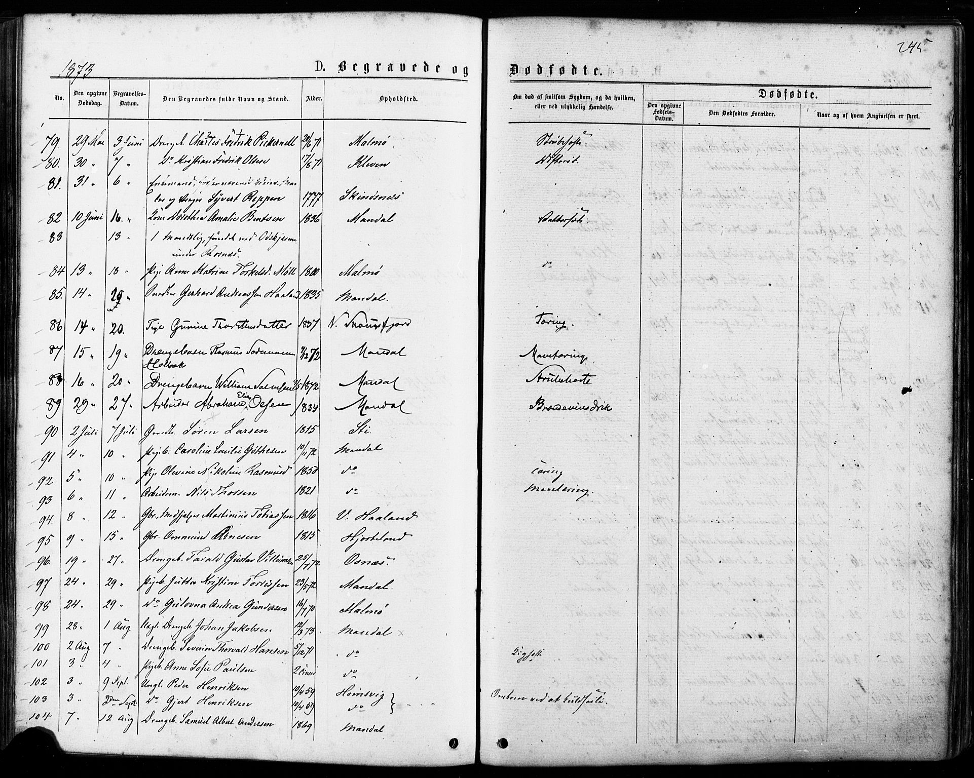 Mandal sokneprestkontor, AV/SAK-1111-0030/F/Fa/Faa/L0015: Parish register (official) no. A 15, 1873-1879, p. 245