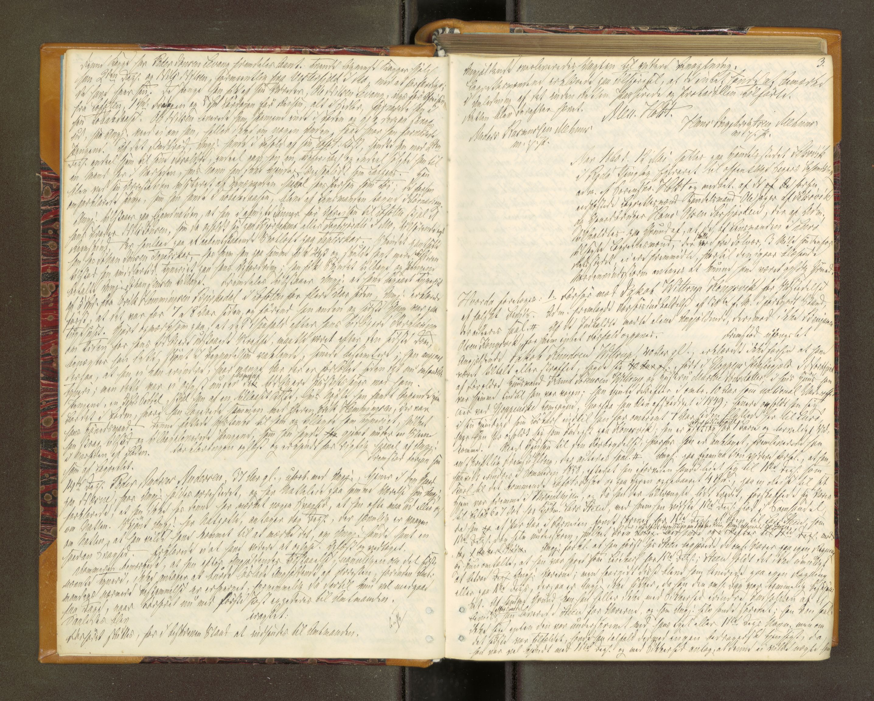 Rana sorenskriveri , AV/SAT-A-1108/1/1/1B/L0002: Ekstrarettsprotokoll, 1860-1866, p. 2b-3a