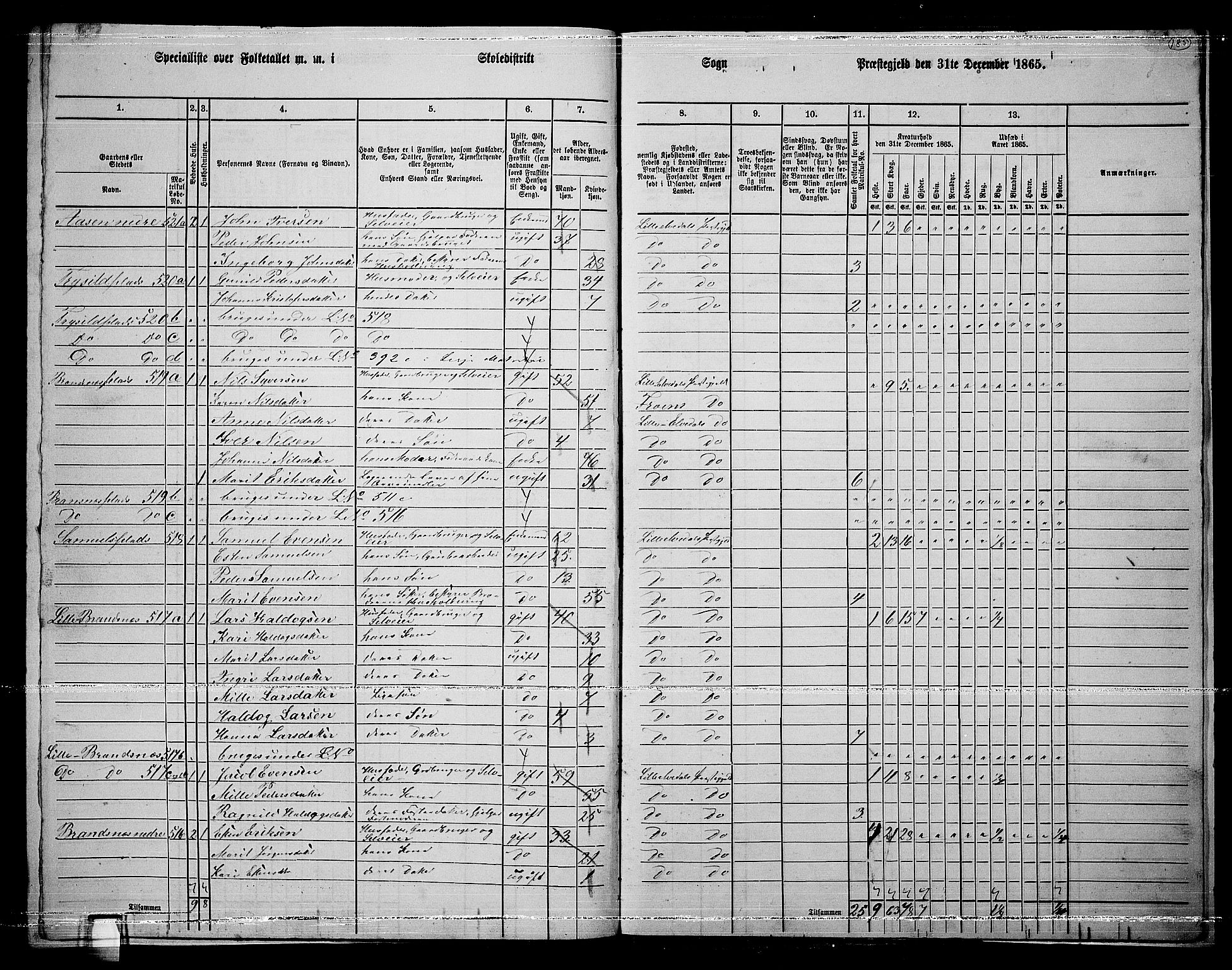 RA, 1865 census for Lille Elvedalen, 1865, p. 152