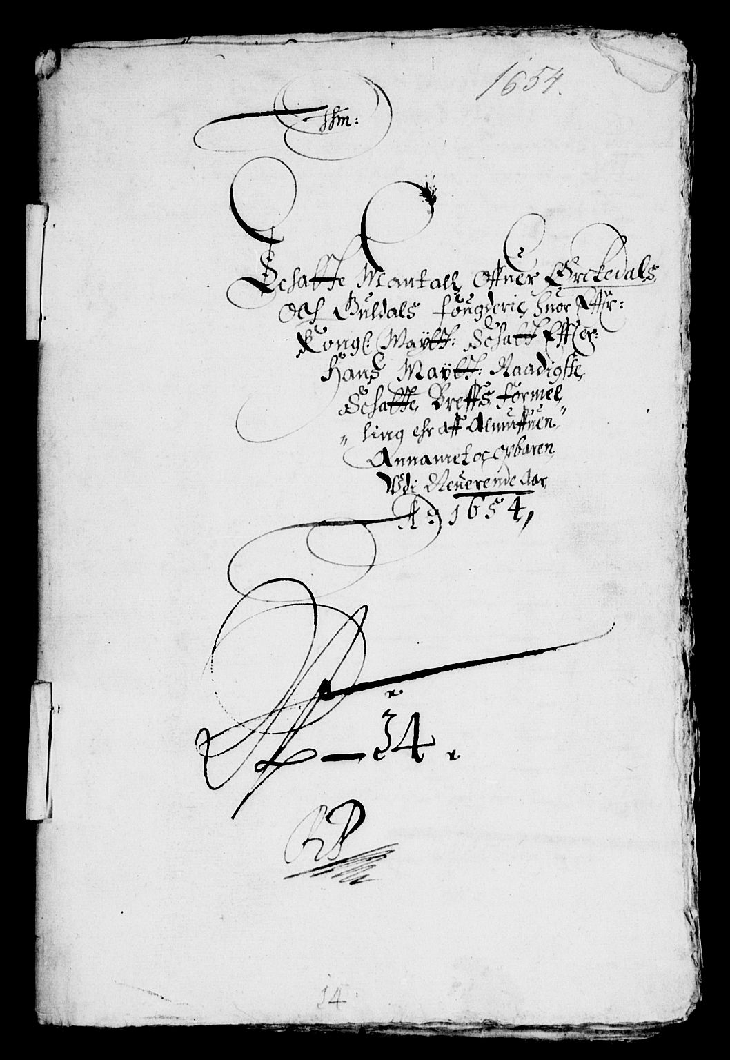 Rentekammeret inntil 1814, Reviderte regnskaper, Lensregnskaper, AV/RA-EA-5023/R/Rb/Rbw/L0118: Trondheim len, 1654-1655