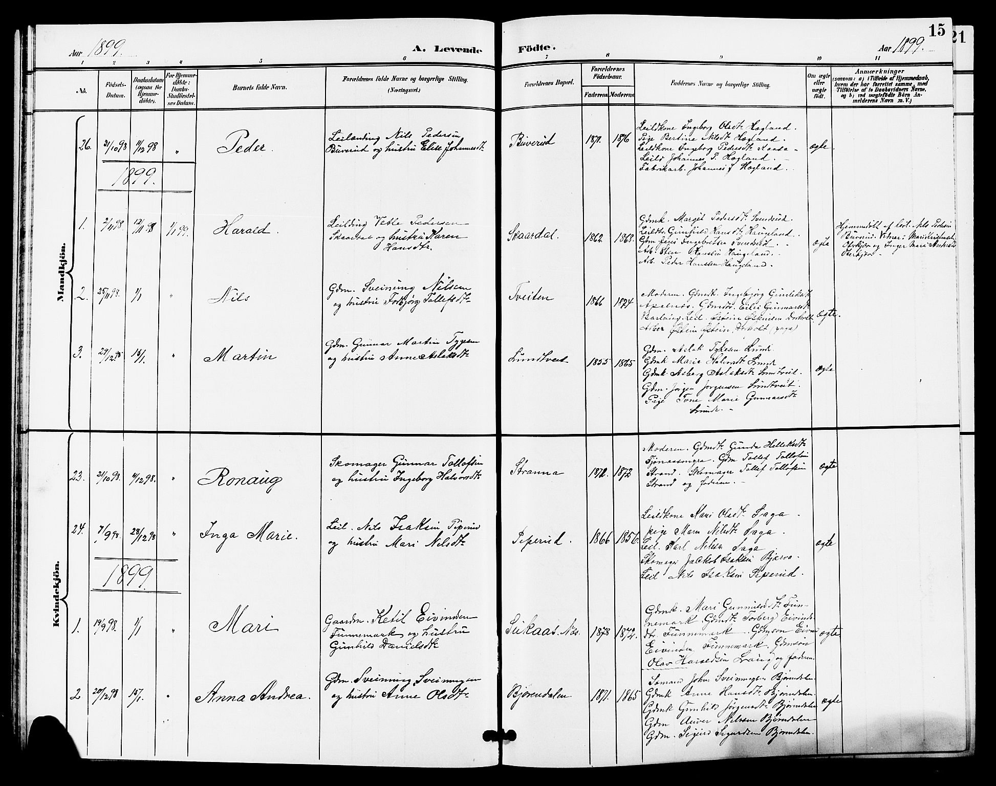 Lunde kirkebøker, SAKO/A-282/G/Ga/L0003: Parish register (copy) no. I 3, 1896-1905, p. 15