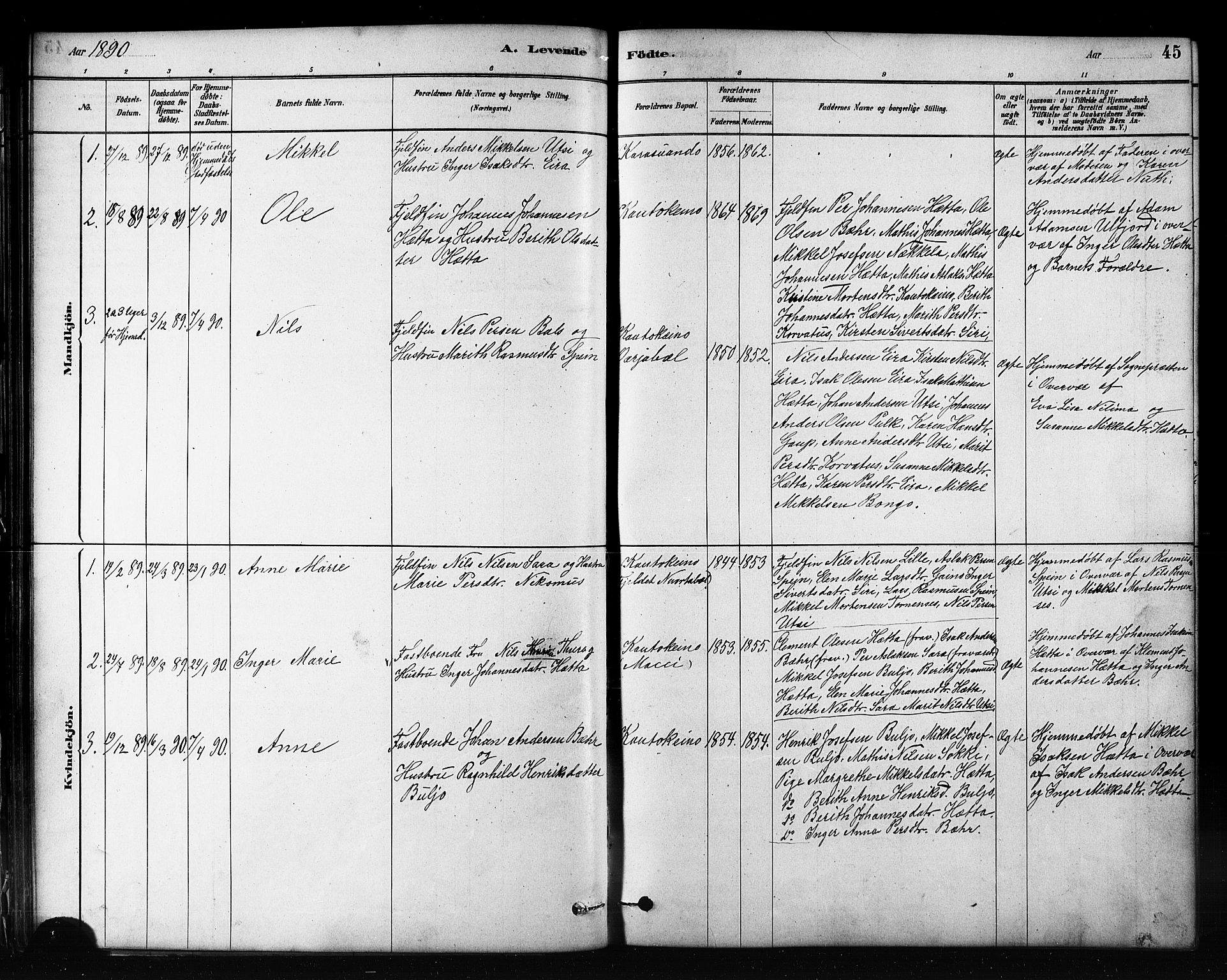 Kautokeino sokneprestembete, SATØ/S-1340/H/Hb/L0002.klokk: Parish register (copy) no. 2, 1877-1896, p. 45