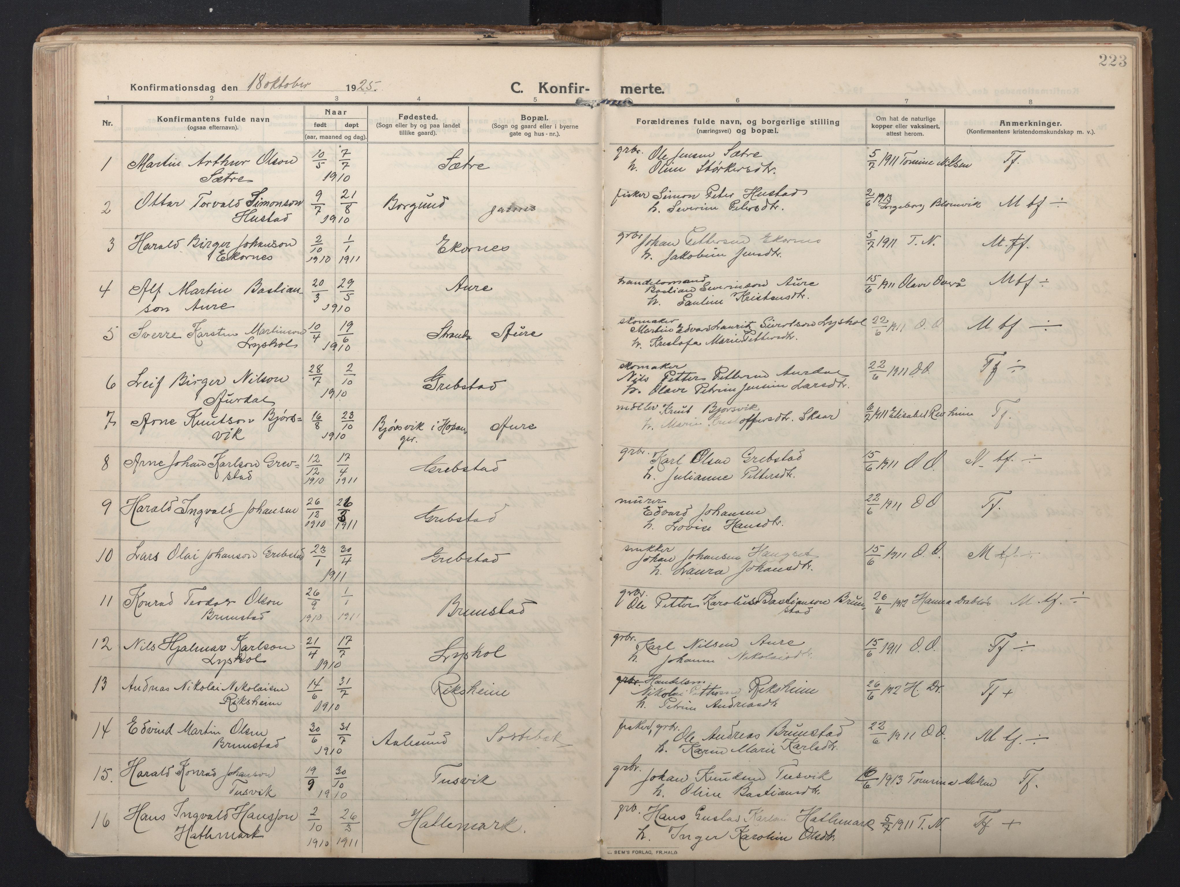 Ministerialprotokoller, klokkerbøker og fødselsregistre - Møre og Romsdal, AV/SAT-A-1454/523/L0337: Parish register (official) no. 523A04, 1911-1929, p. 223