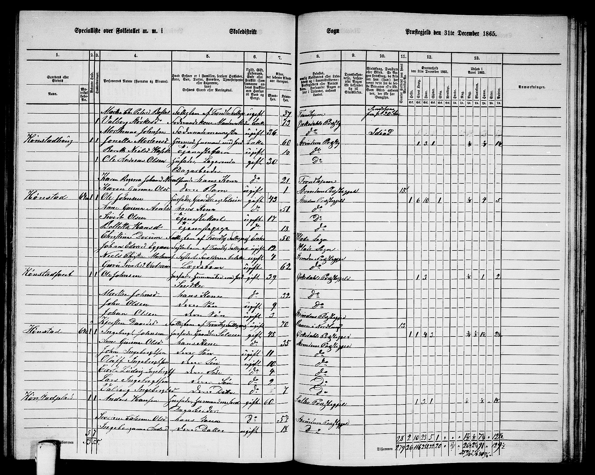 RA, 1865 census for Strinda, 1865, p. 220