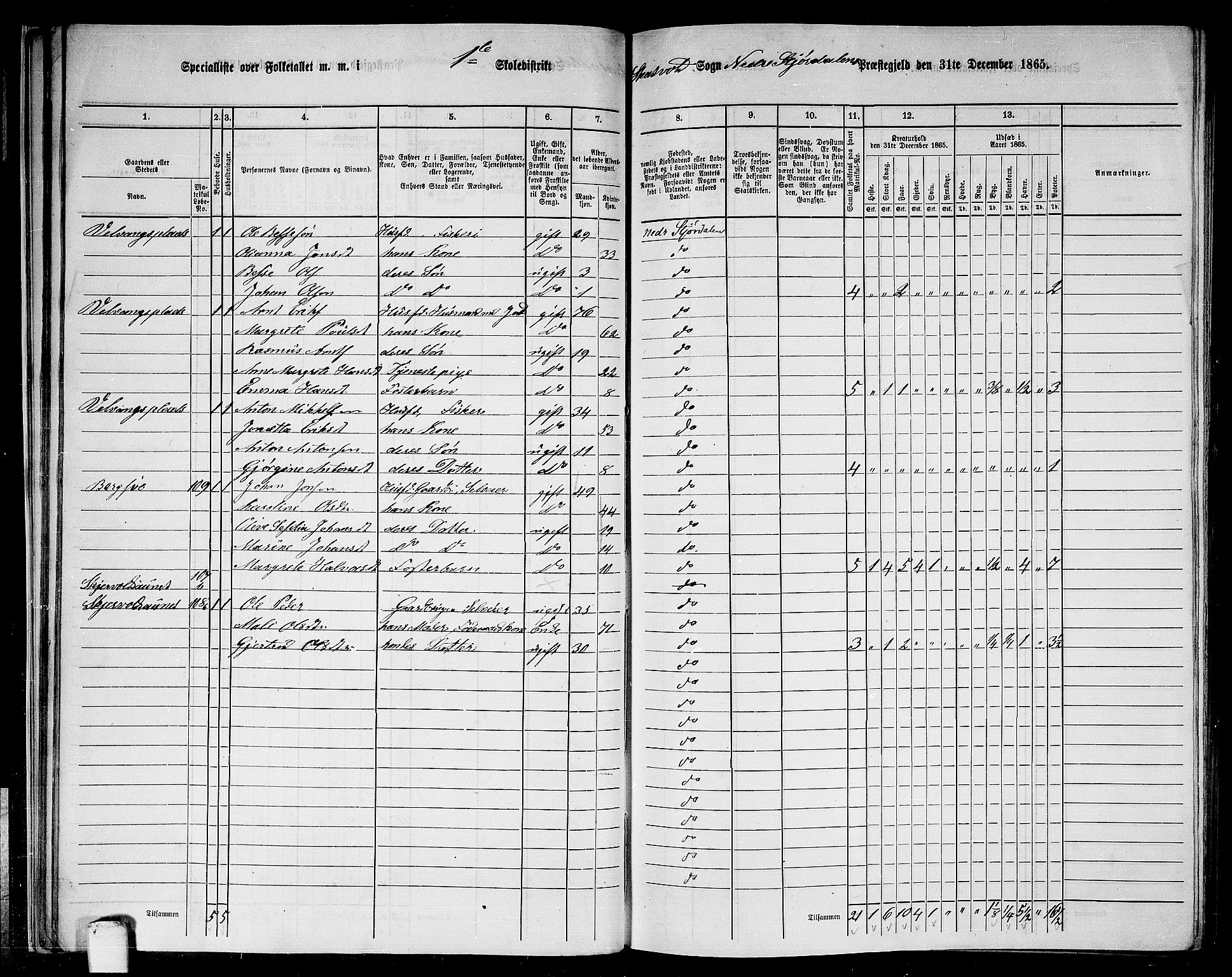 RA, 1865 census for Nedre Stjørdal, 1865, p. 33