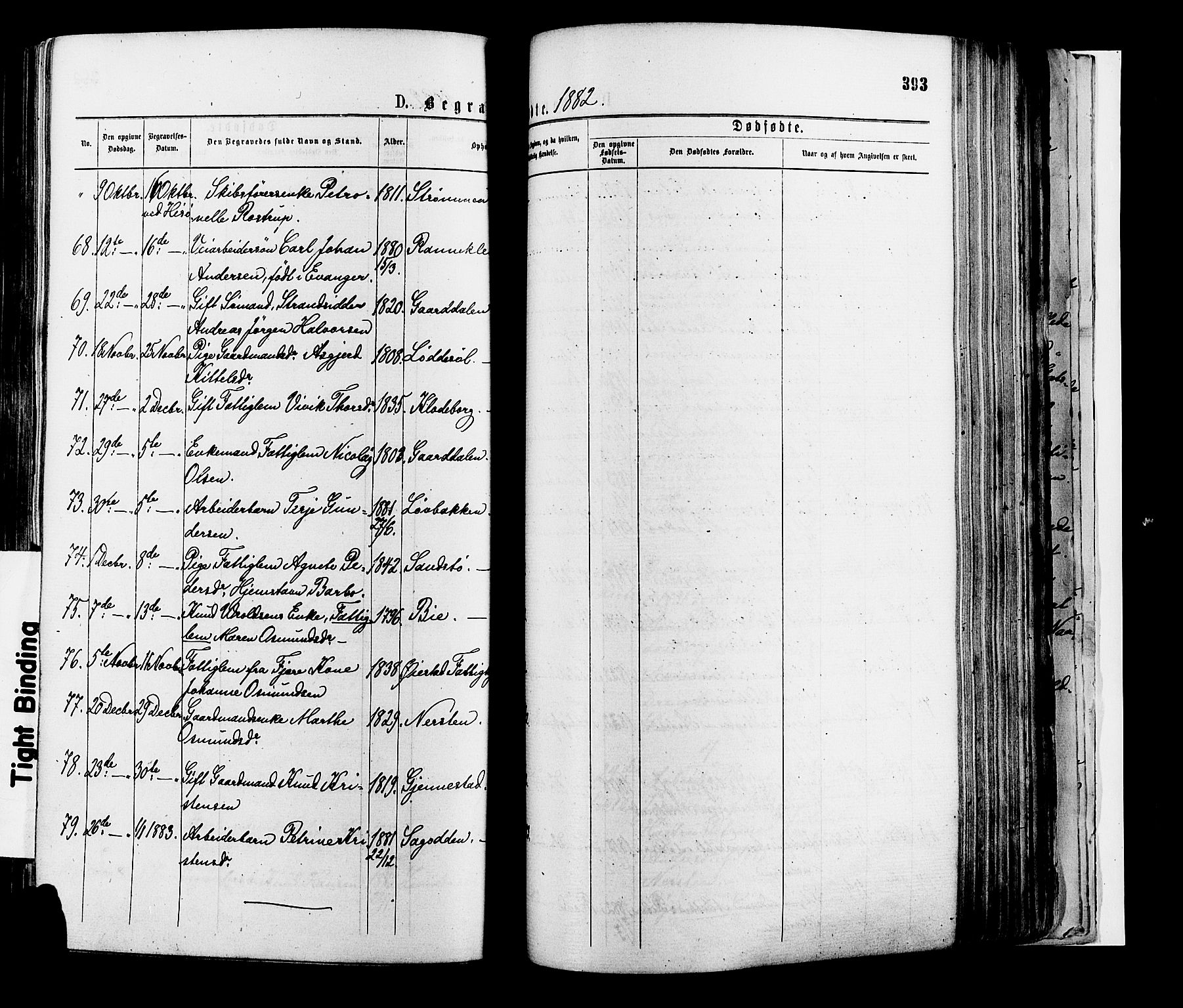 Øyestad sokneprestkontor, AV/SAK-1111-0049/F/Fa/L0016: Parish register (official) no. A 16, 1874-1886, p. 393