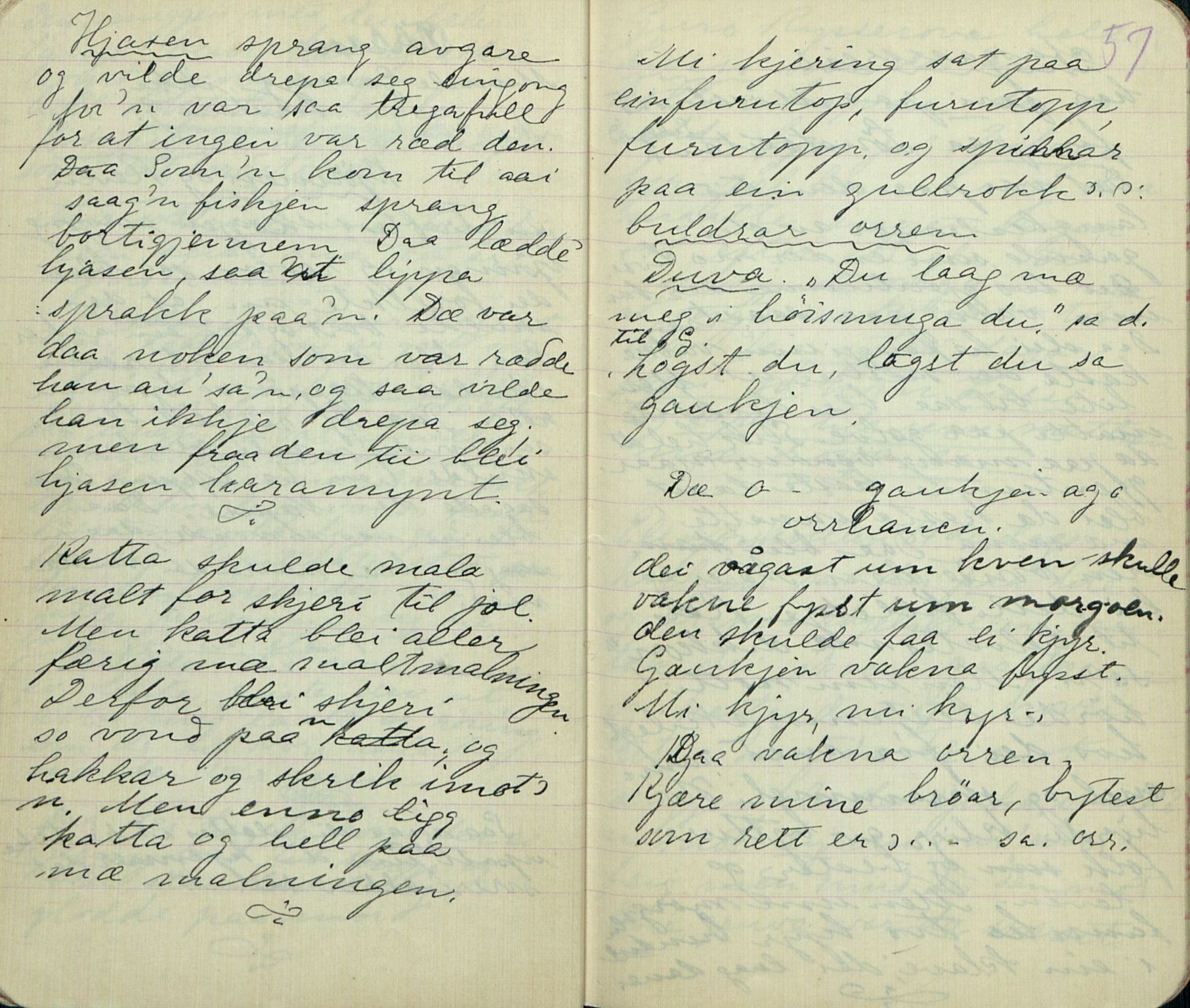 Rikard Berge, TEMU/TGM-A-1003/F/L0008/0030: 300-340 / 329 Oppskrifter av Svånaug A. Kasin, Seljord. Mest eventyr, 1915, p. 56-57