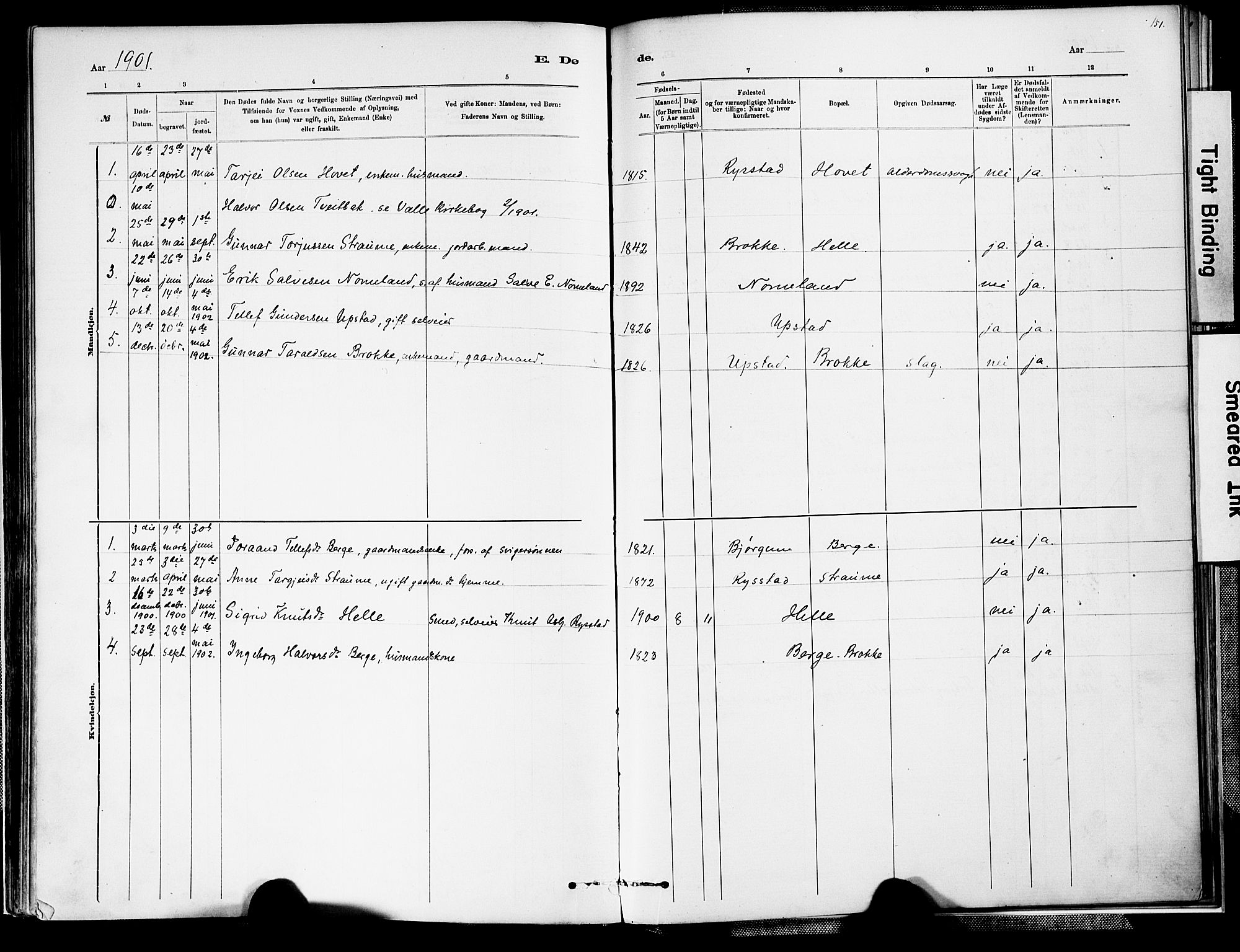 Valle sokneprestkontor, SAK/1111-0044/F/Fa/Fab/L0001: Parish register (official) no. A 1, 1882-1910, p. 151
