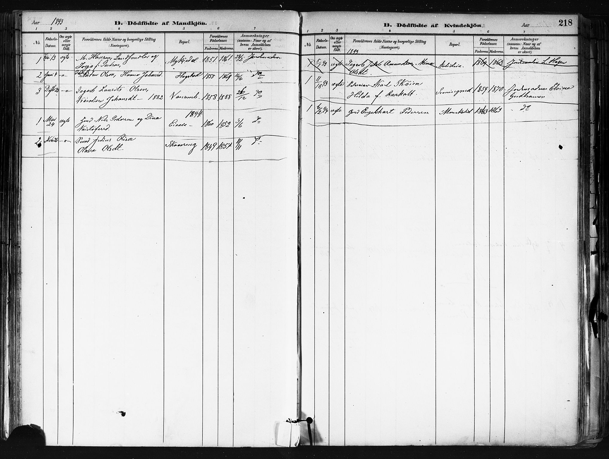 Nes prestekontor Kirkebøker, AV/SAO-A-10410/F/Fa/L0010: Parish register (official) no. I 10, 1883-1898, p. 218