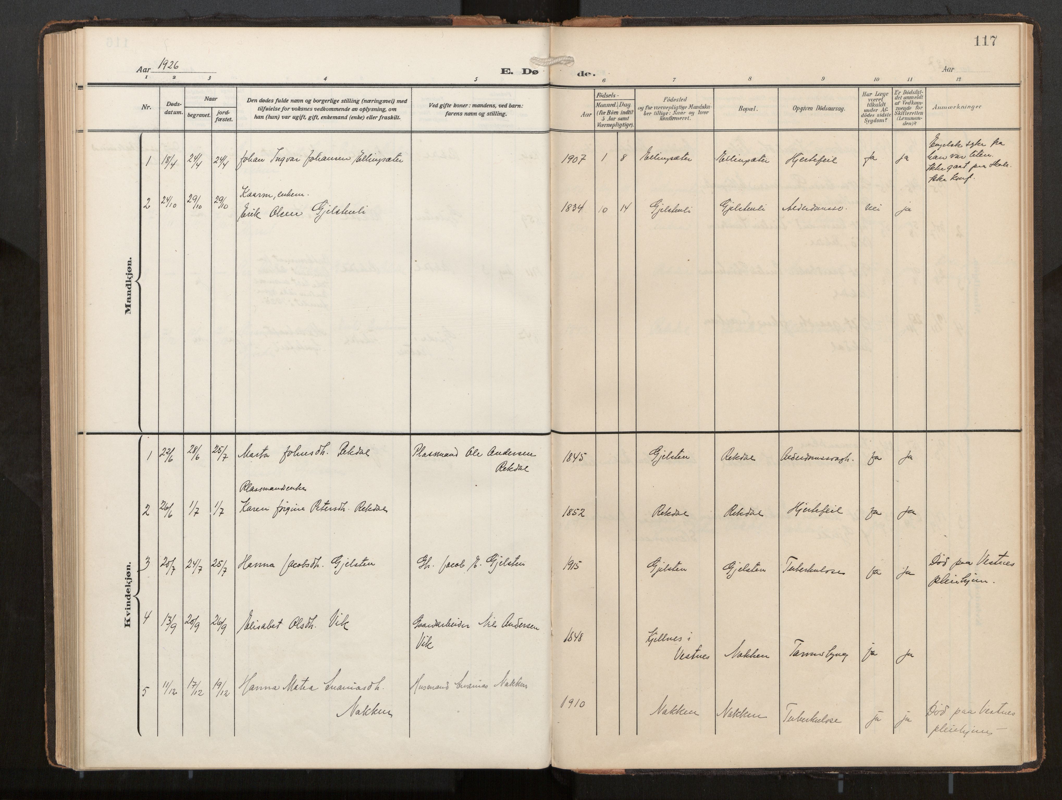 Ministerialprotokoller, klokkerbøker og fødselsregistre - Møre og Romsdal, AV/SAT-A-1454/540/L0540b: Parish register (official) no. 540A03, 1909-1932, p. 117