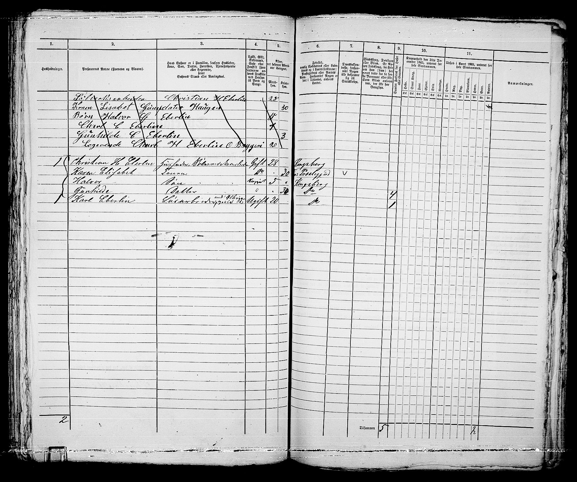 RA, 1865 census for Kongsberg/Kongsberg, 1865, p. 876