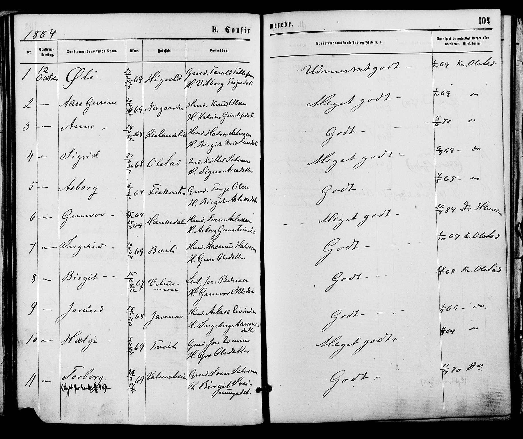 Åmli sokneprestkontor, AV/SAK-1111-0050/F/Fa/Fac/L0009: Parish register (official) no. A 9 /1, 1869-1884, p. 104