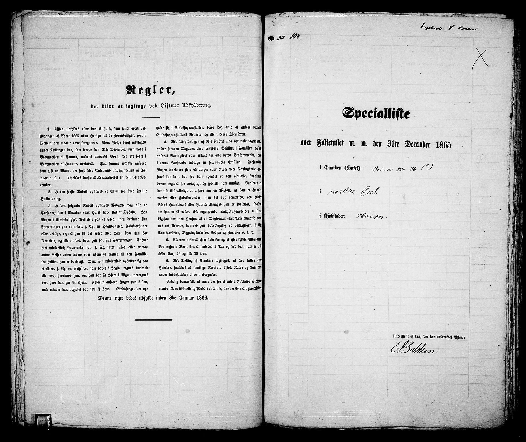 RA, 1865 census for Norderhov/Hønefoss, 1865, p. 203