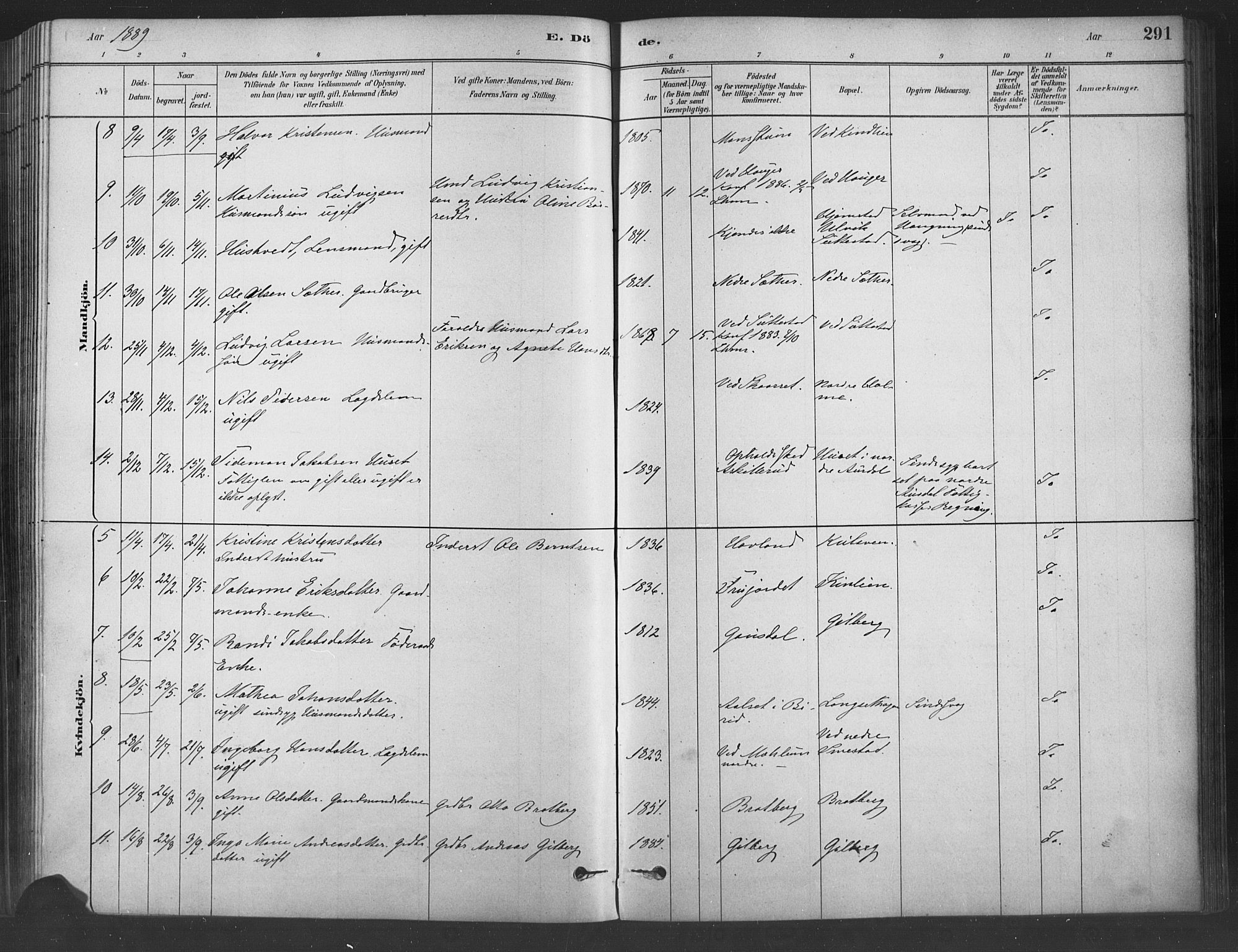 Fåberg prestekontor, SAH/PREST-086/H/Ha/Haa/L0009: Parish register (official) no. 9, 1879-1898, p. 291