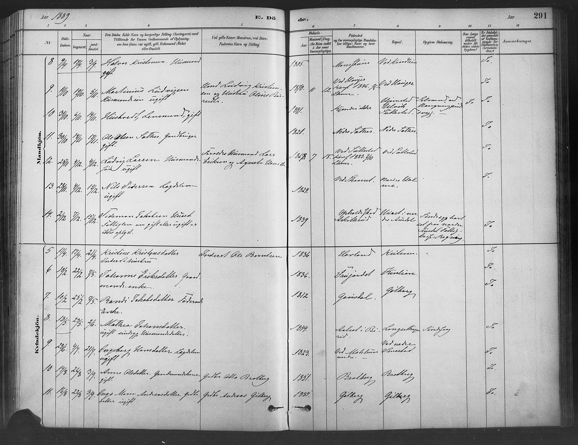 Fåberg prestekontor, AV/SAH-PREST-086/H/Ha/Haa/L0009: Parish register (official) no. 9, 1879-1898, p. 291