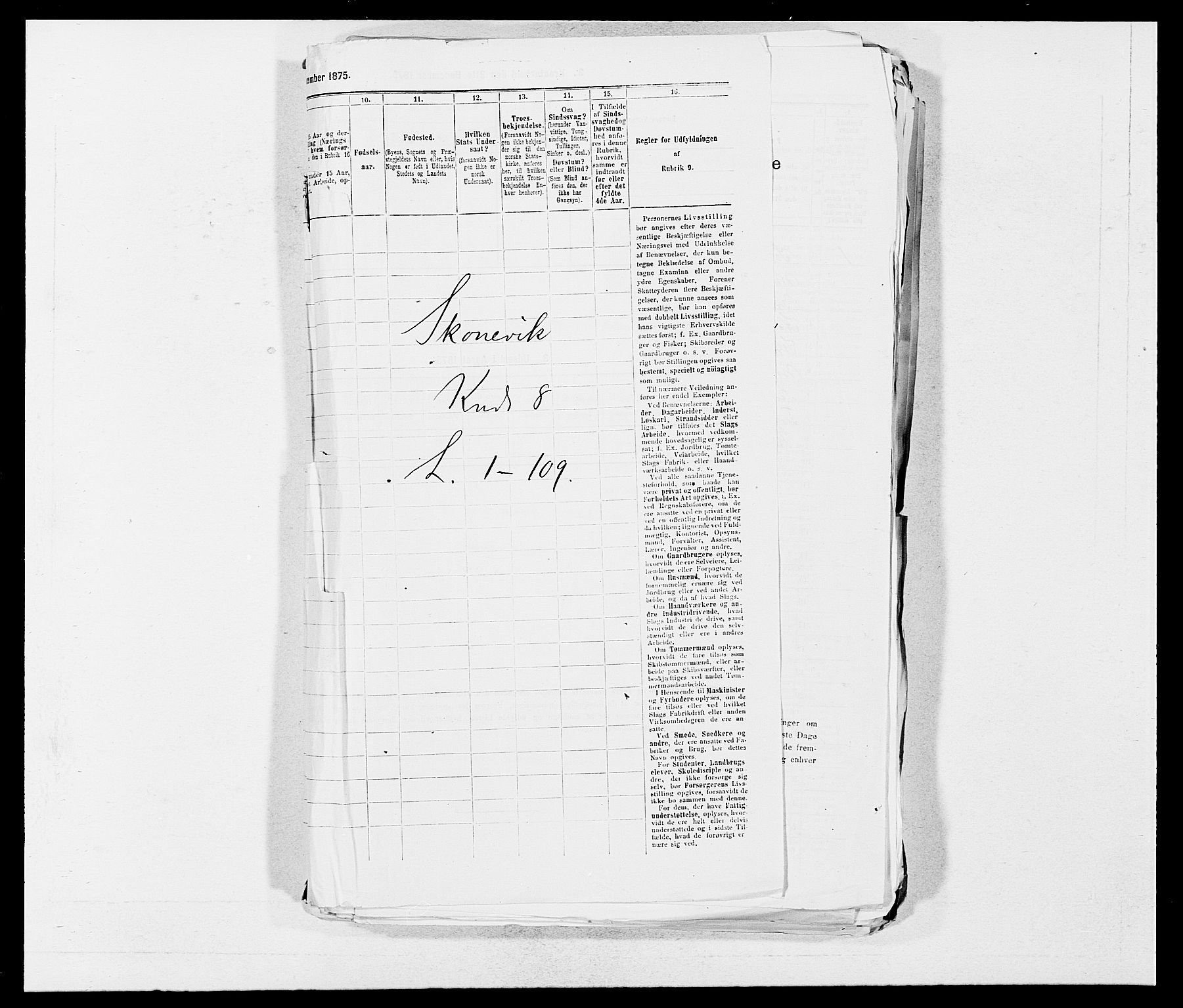 SAB, 1875 census for 1212P Skånevik, 1875, p. 869