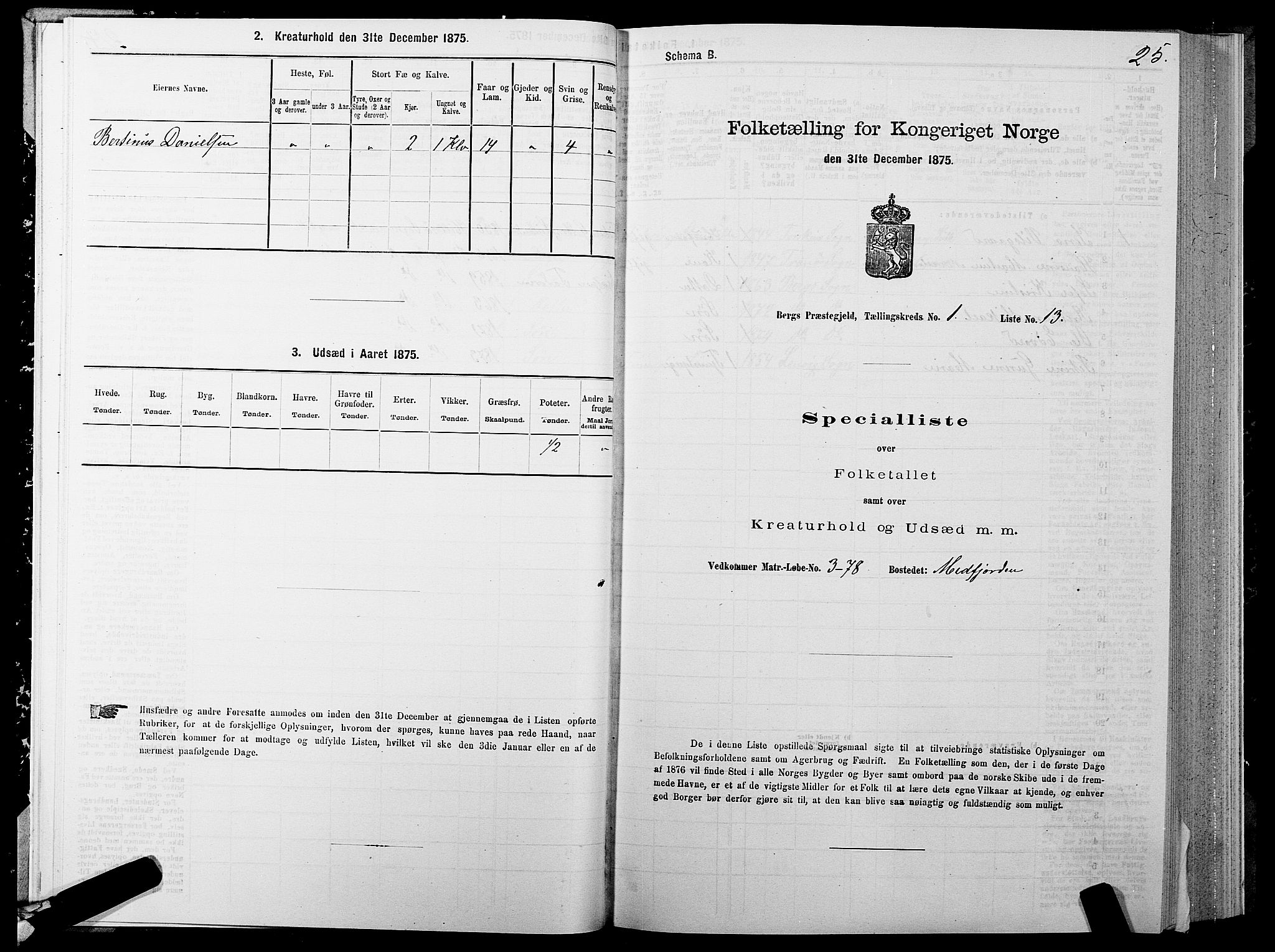 SATØ, 1875 census for 1929P Berg, 1875, p. 1025