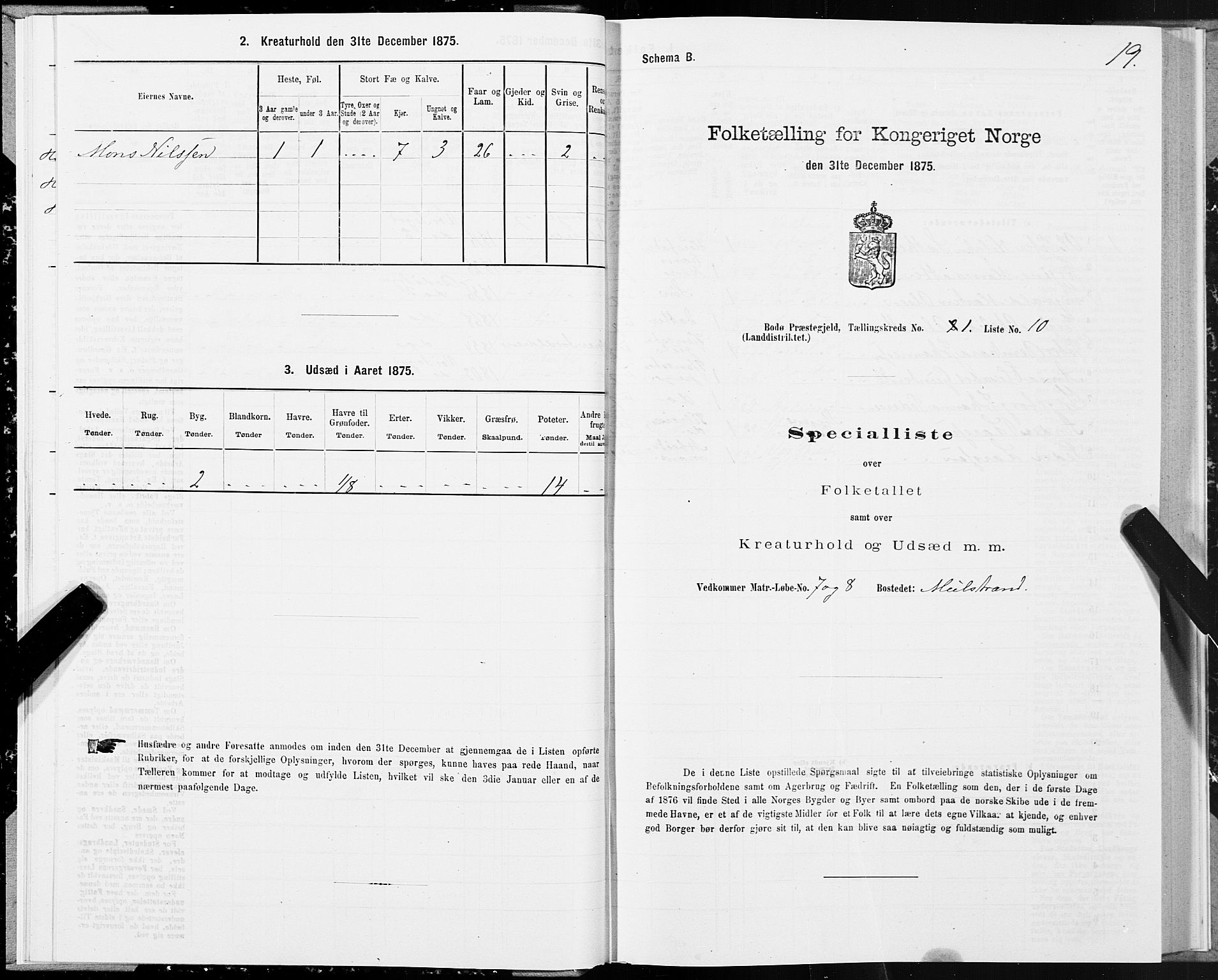 SAT, 1875 census for 1843L Bodø/Bodø, 1875, p. 1019