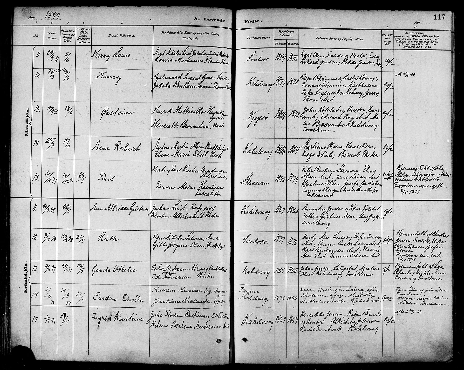 Ministerialprotokoller, klokkerbøker og fødselsregistre - Nordland, AV/SAT-A-1459/874/L1060: Parish register (official) no. 874A04, 1890-1899, p. 117