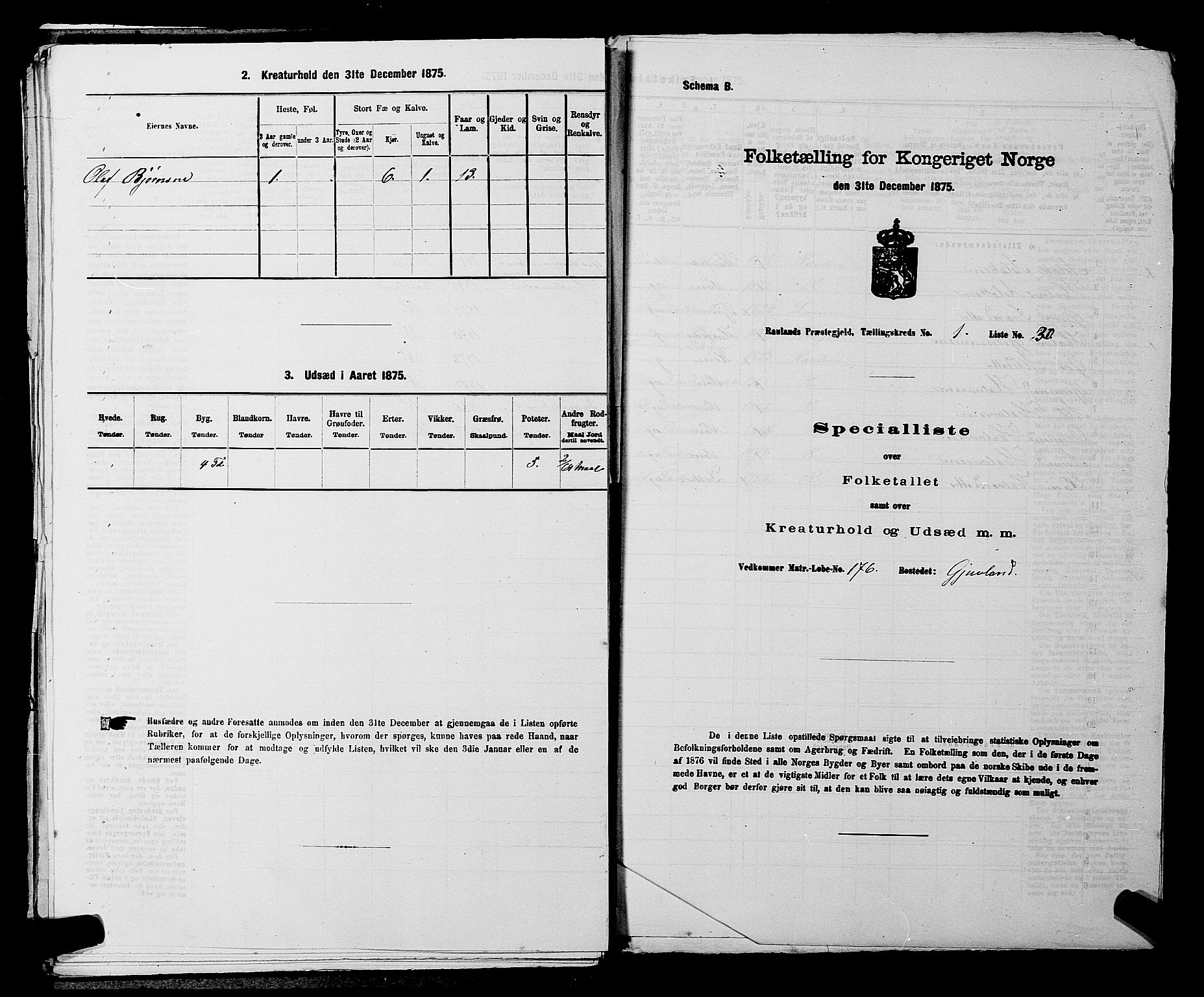 SAKO, 1875 census for 0835P Rauland, 1875, p. 90