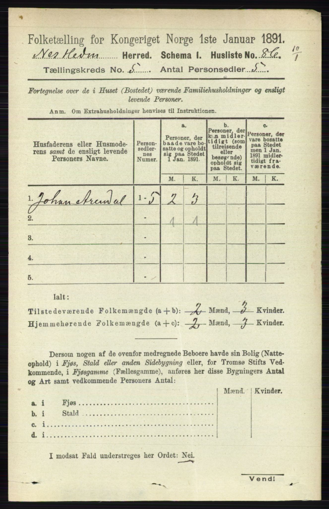 RA, 1891 census for 0411 Nes, 1891, p. 2607