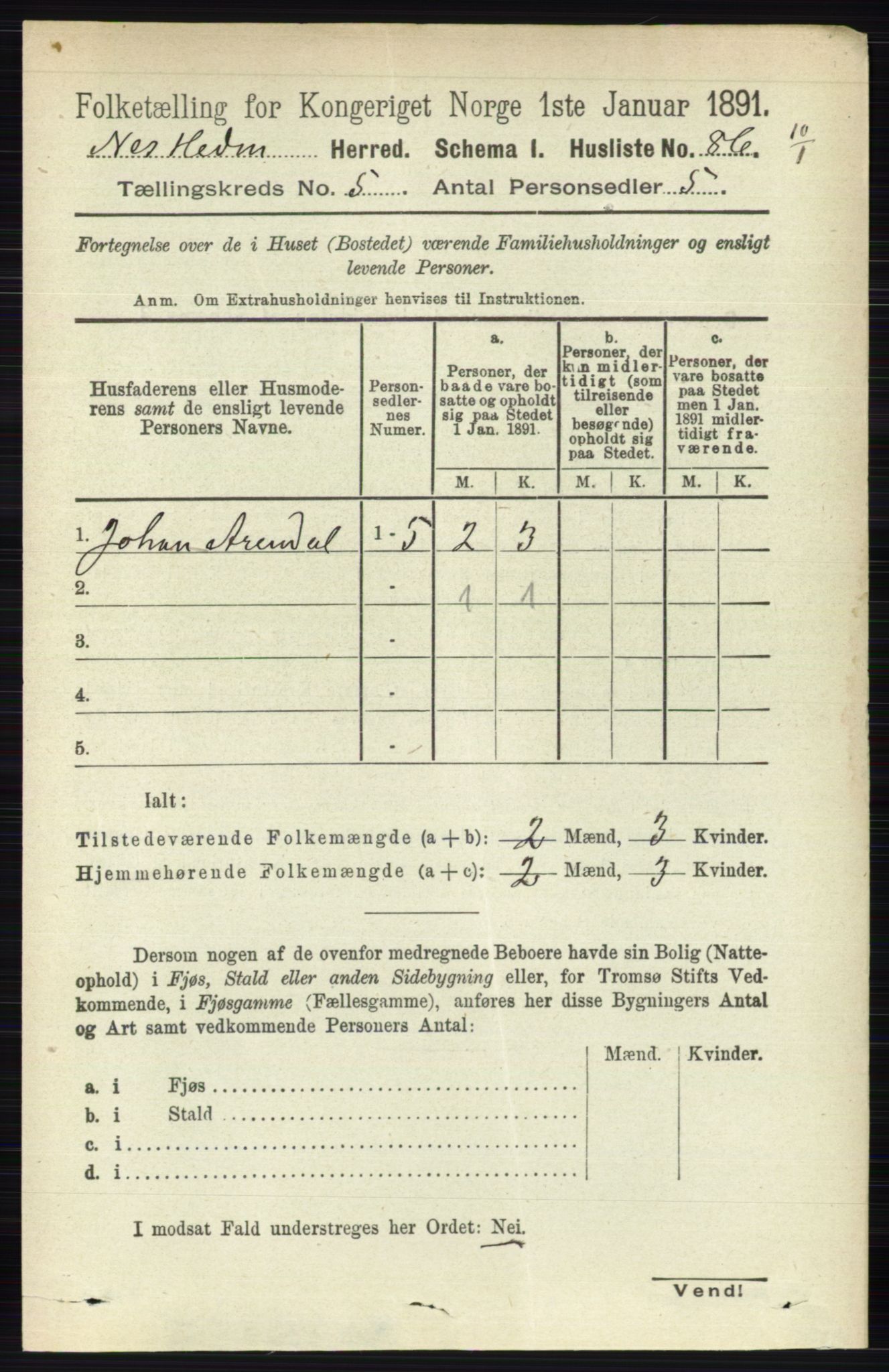 RA, 1891 census for 0411 Nes, 1891, p. 2607