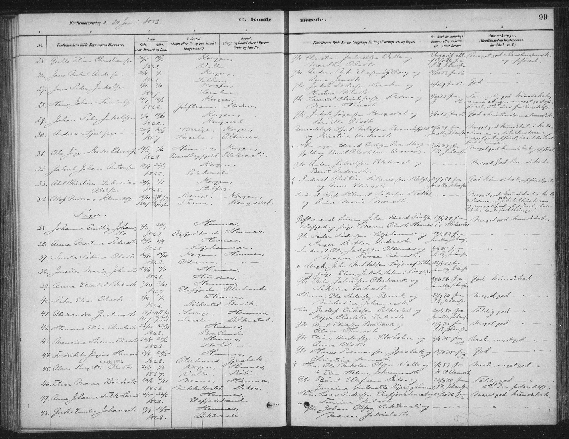 Ministerialprotokoller, klokkerbøker og fødselsregistre - Nordland, AV/SAT-A-1459/825/L0361: Parish register (official) no. 825A15, 1878-1893, p. 99