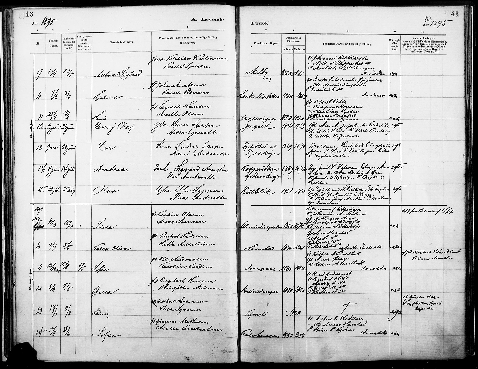 Eidskog prestekontor, SAH/PREST-026/H/Ha/Haa/L0004: Parish register (official) no. 4, 1884-1897, p. 43