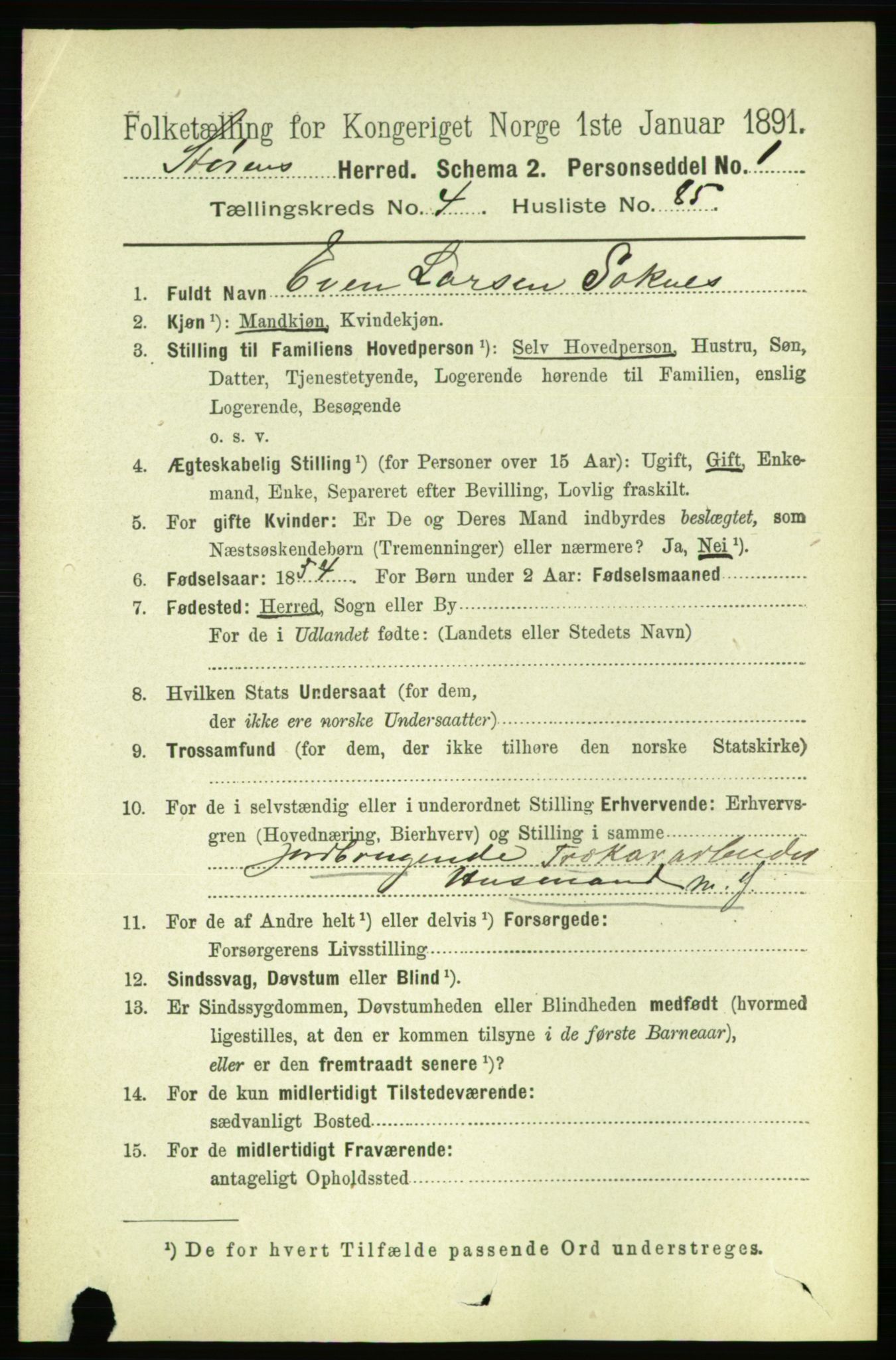 RA, 1891 census for 1648 Støren, 1891, p. 1869