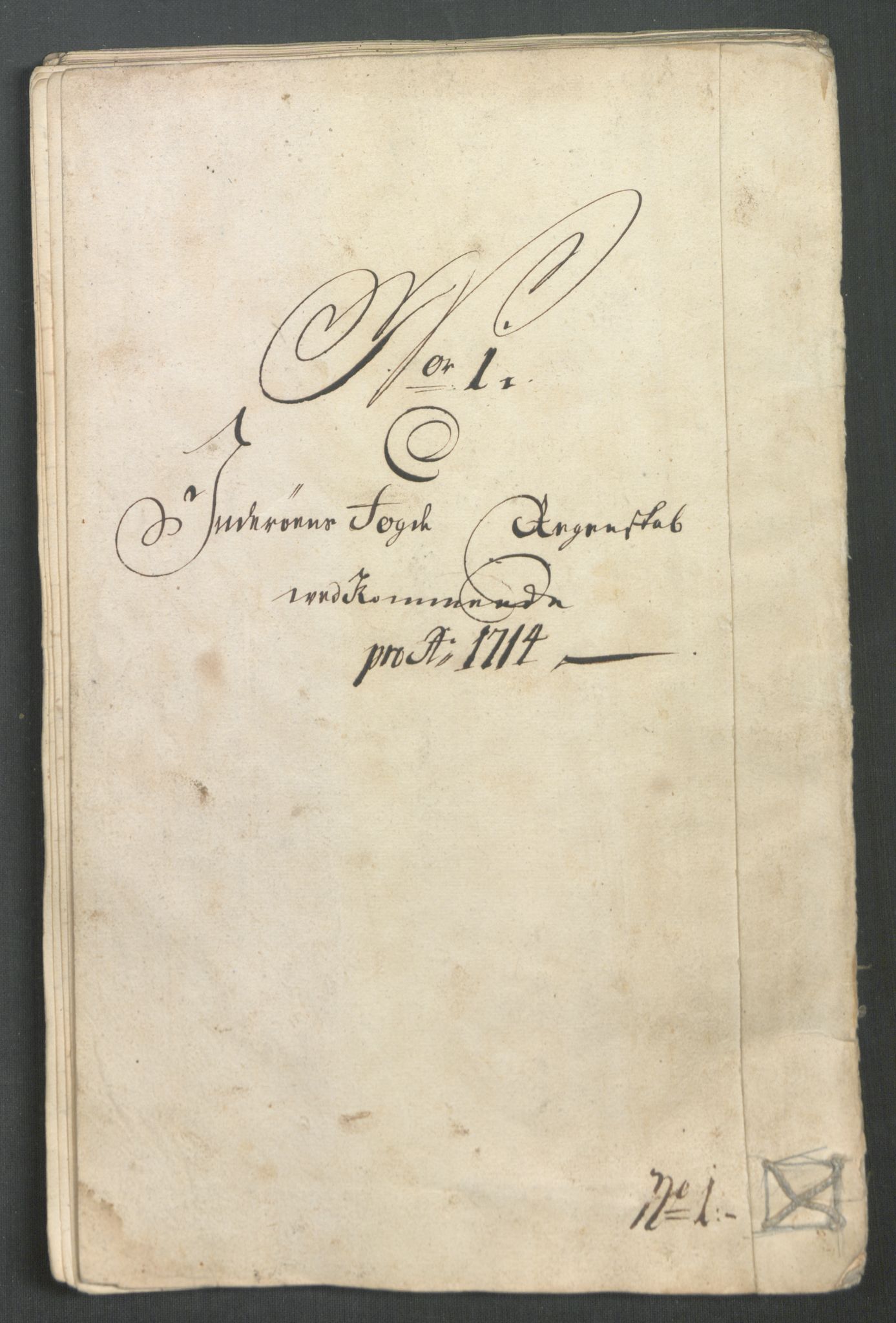 Rentekammeret inntil 1814, Reviderte regnskaper, Fogderegnskap, RA/EA-4092/R63/L4322: Fogderegnskap Inderøy, 1714, p. 142