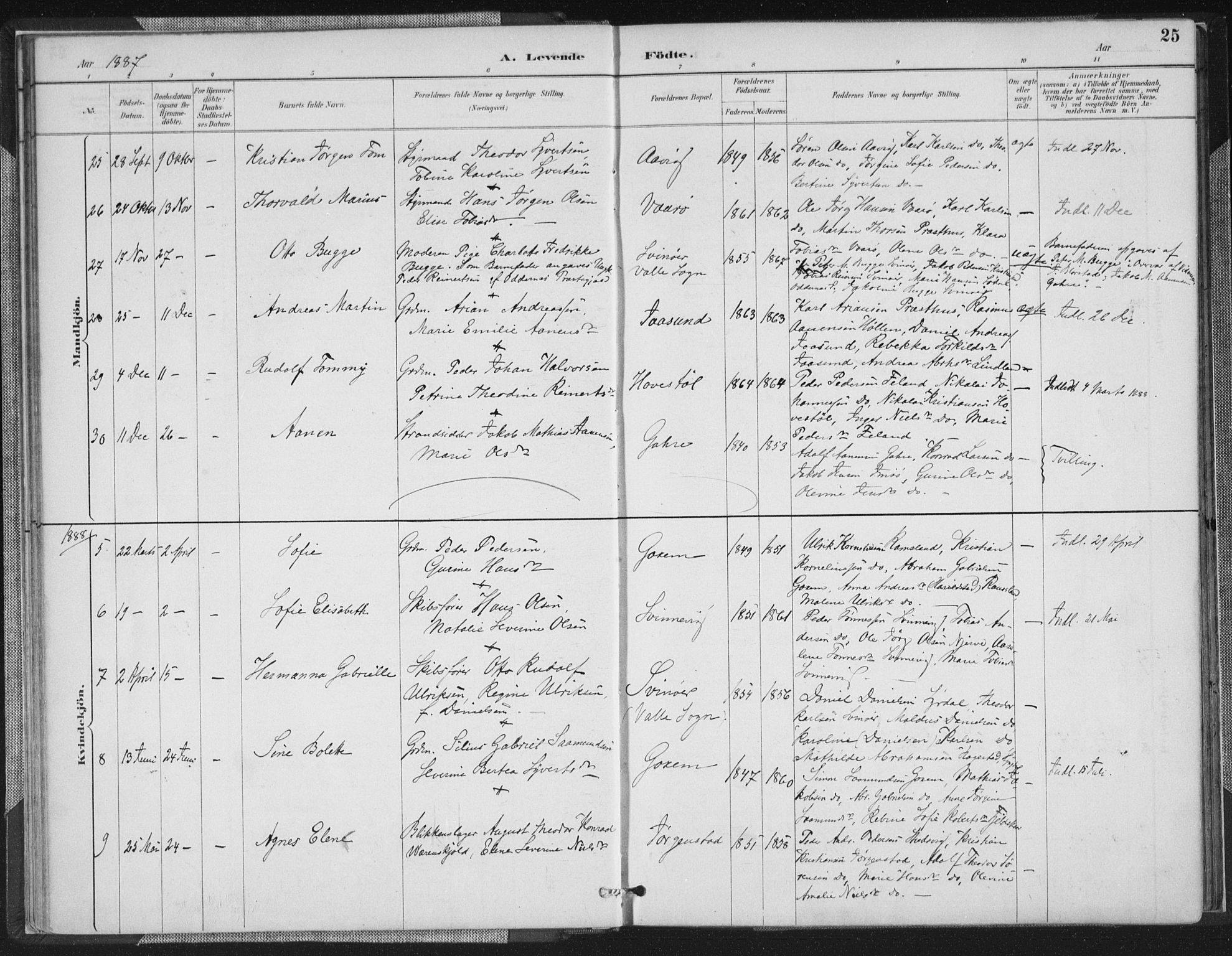 Sør-Audnedal sokneprestkontor, AV/SAK-1111-0039/F/Fa/Faa/L0004: Parish register (official) no. A 4, 1884-1909, p. 25