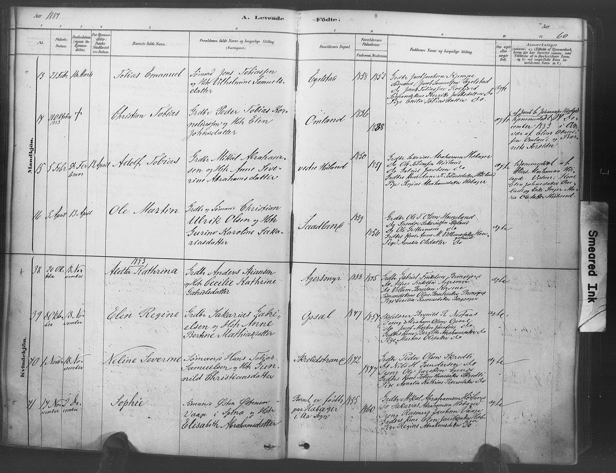 Lyngdal sokneprestkontor, AV/SAK-1111-0029/F/Fa/Fac/L0011: Parish register (official) no. A 11, 1878-1893, p. 60