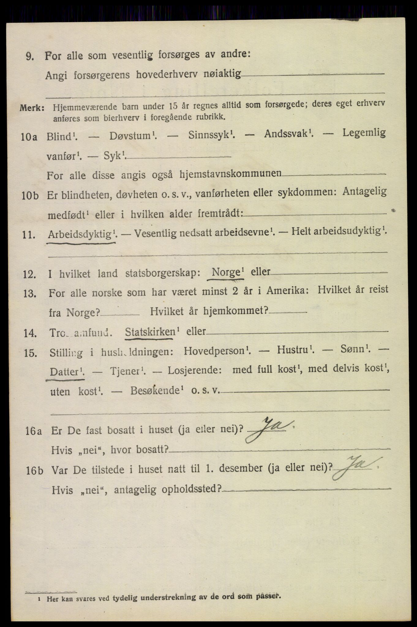 SAH, 1920 census for Lom, 1920, p. 3143