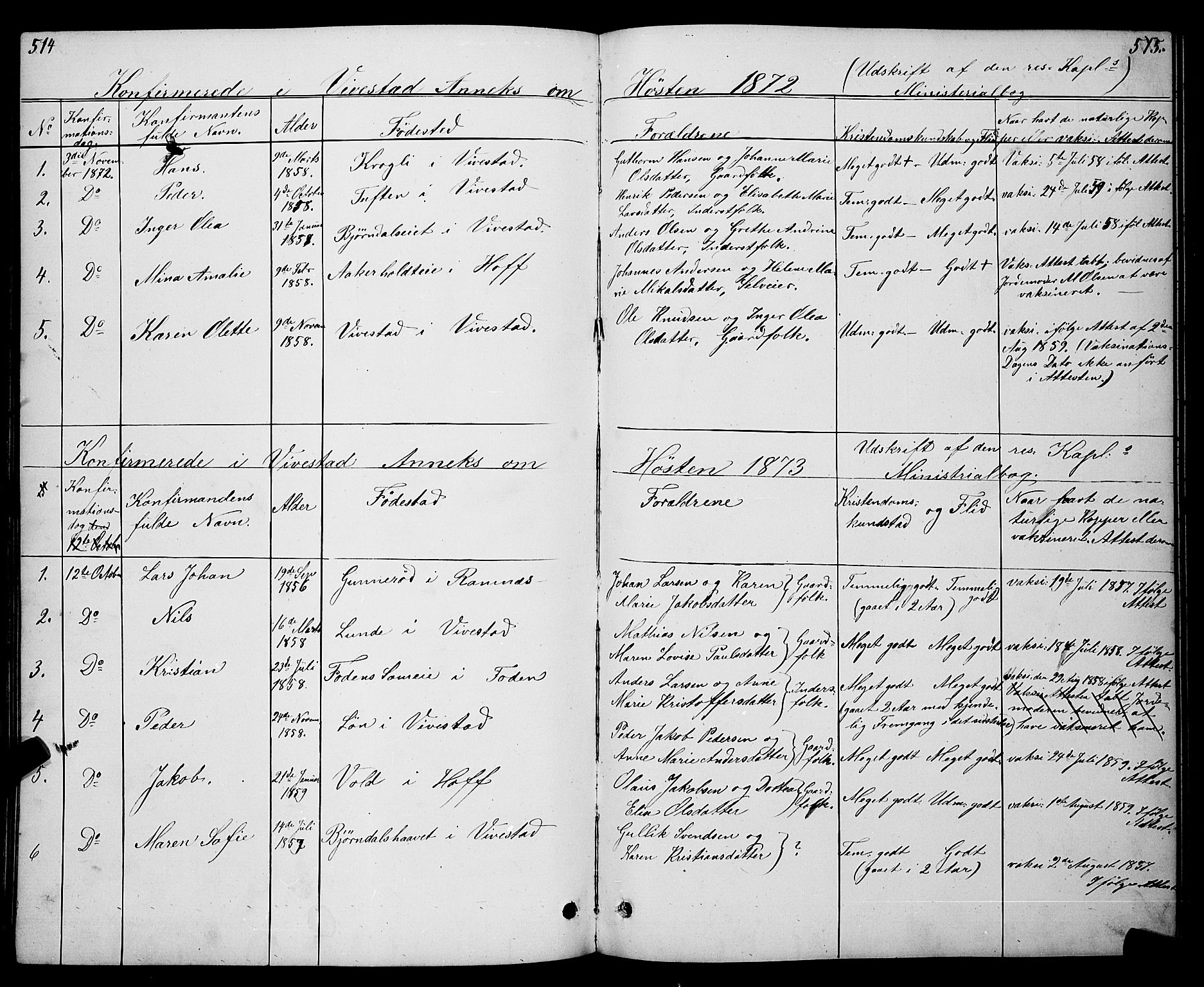 Ramnes kirkebøker, SAKO/A-314/G/Gc/L0001: Parish register (copy) no. III 1, 1869-1903, p. 514-515