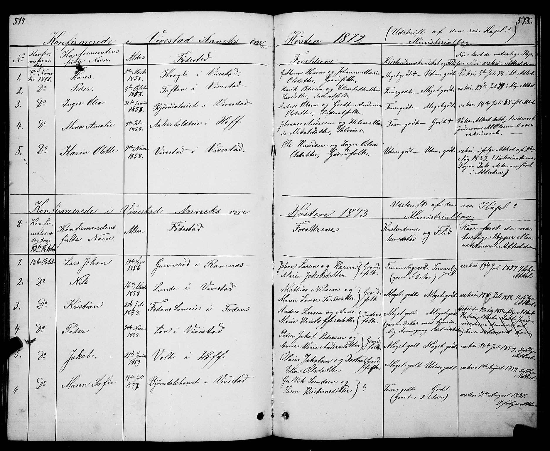 Ramnes kirkebøker, AV/SAKO-A-314/G/Gc/L0001: Parish register (copy) no. III 1, 1869-1903, p. 514-515