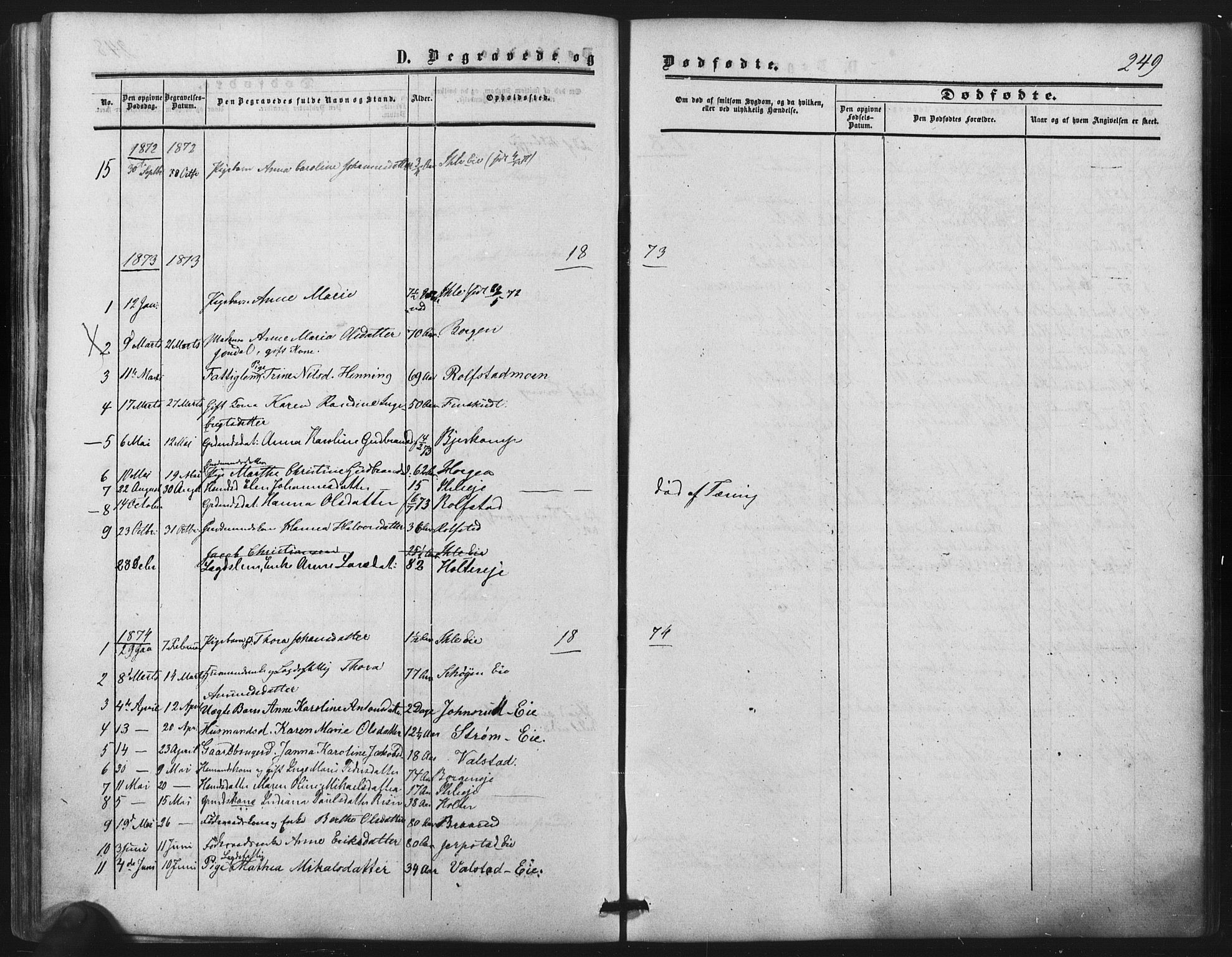 Nes prestekontor Kirkebøker, AV/SAO-A-10410/F/Fb/L0001: Parish register (official) no. II 1, 1859-1882, p. 249