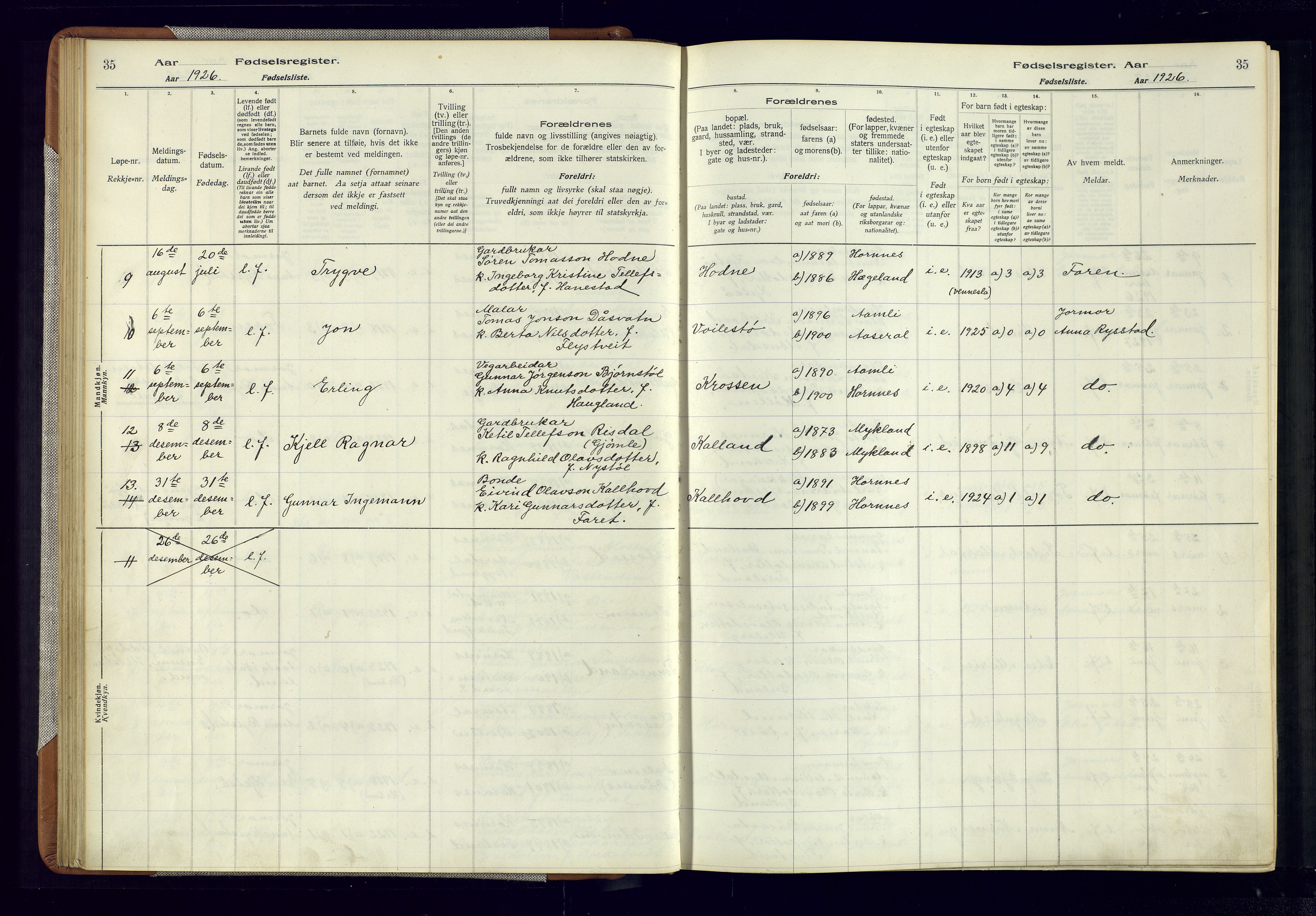 Evje sokneprestkontor, AV/SAK-1111-0008/J/Jc/L0006: Birth register no. 6, 1916-1982, p. 35