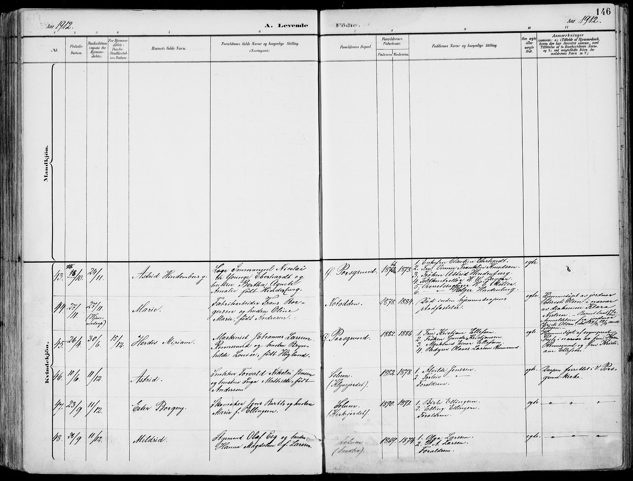 Porsgrunn kirkebøker , AV/SAKO-A-104/F/Fa/L0010: Parish register (official) no. 10, 1895-1919, p. 146