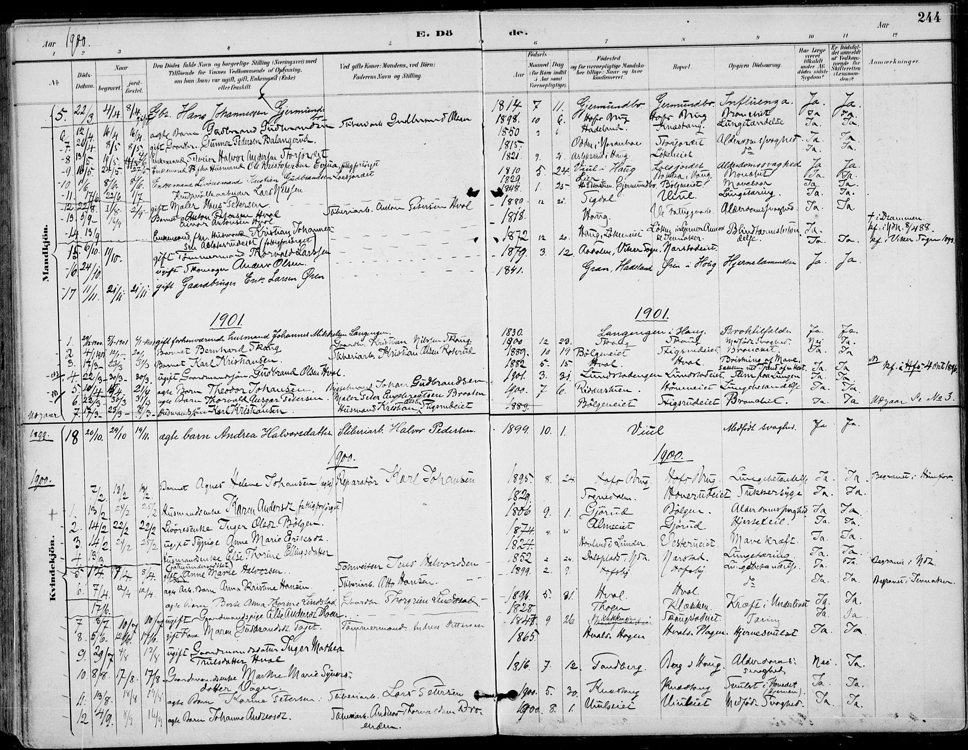 Haug kirkebøker, AV/SAKO-A-604/F/Fa/L0001: Parish register (official) no. 1, 1885-1917, p. 244