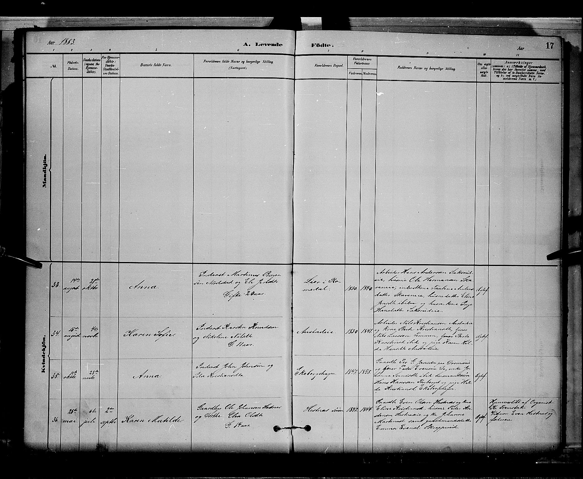 Stange prestekontor, AV/SAH-PREST-002/L/L0008: Parish register (copy) no. 8, 1882-1895, p. 17