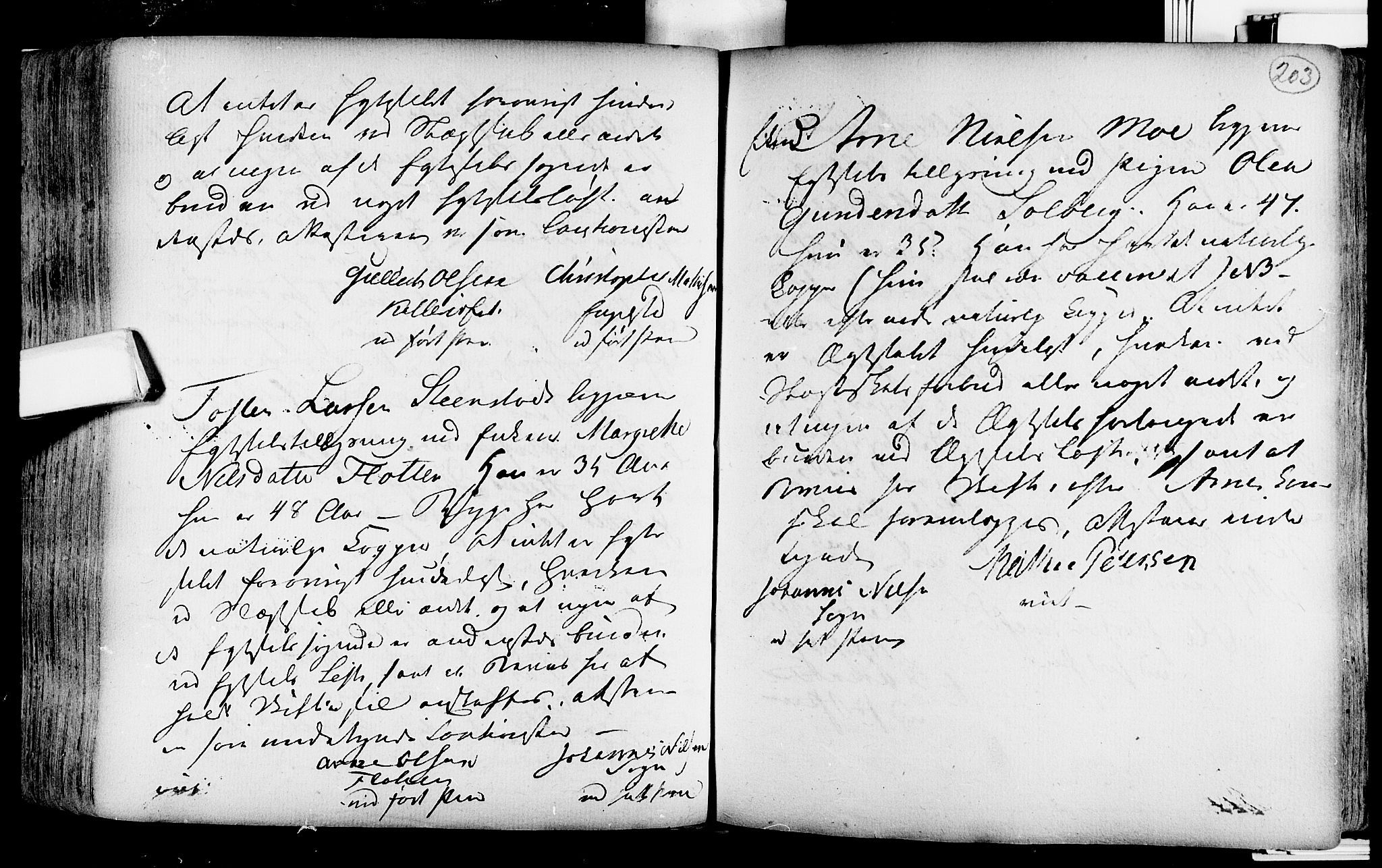 Lardal kirkebøker, AV/SAKO-A-350/F/Fa/L0004: Parish register (official) no. i 4, 1733-1815, p. 203